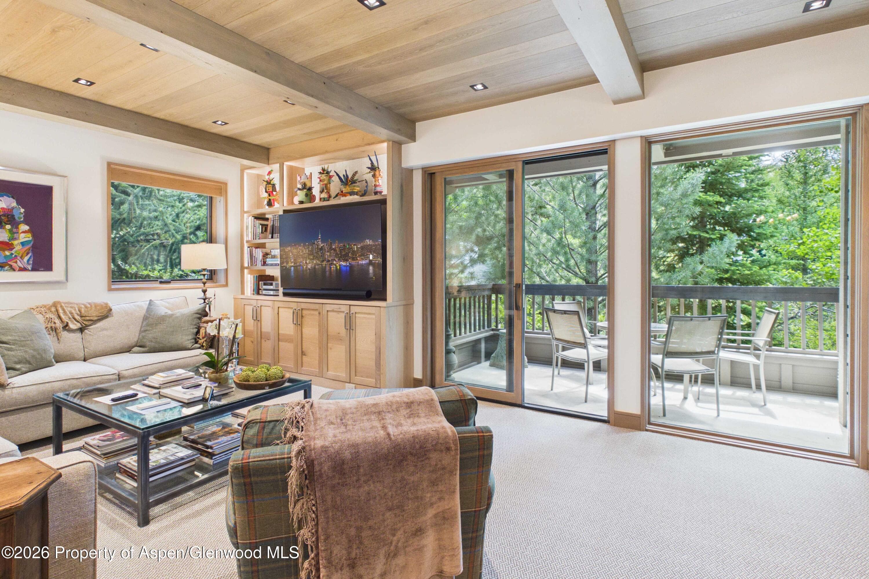 610 S West End Street G201, Aspen, CO 81611 - Photo 6