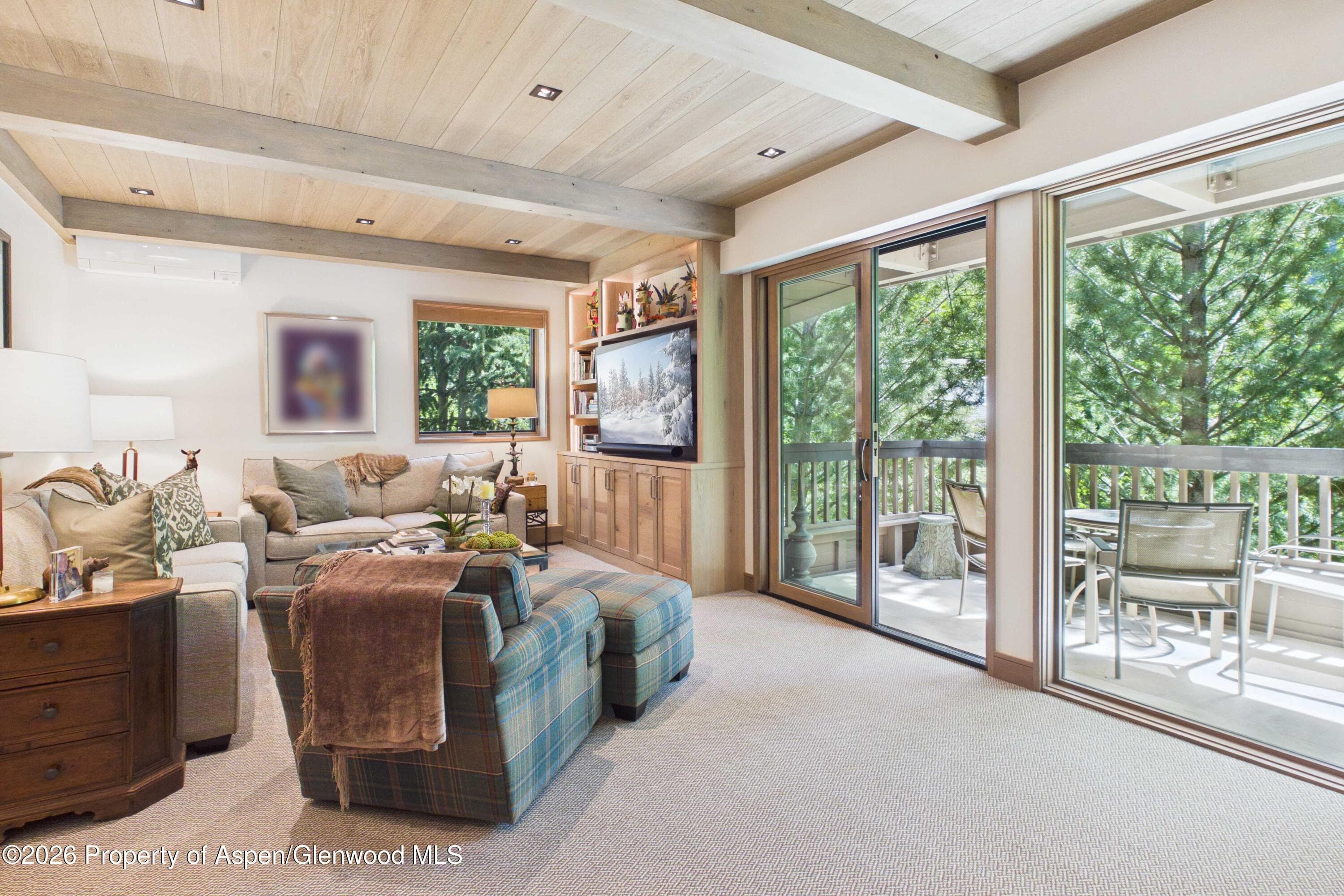 610 S West End Street G201, Aspen, CO 81611 - Photo 2