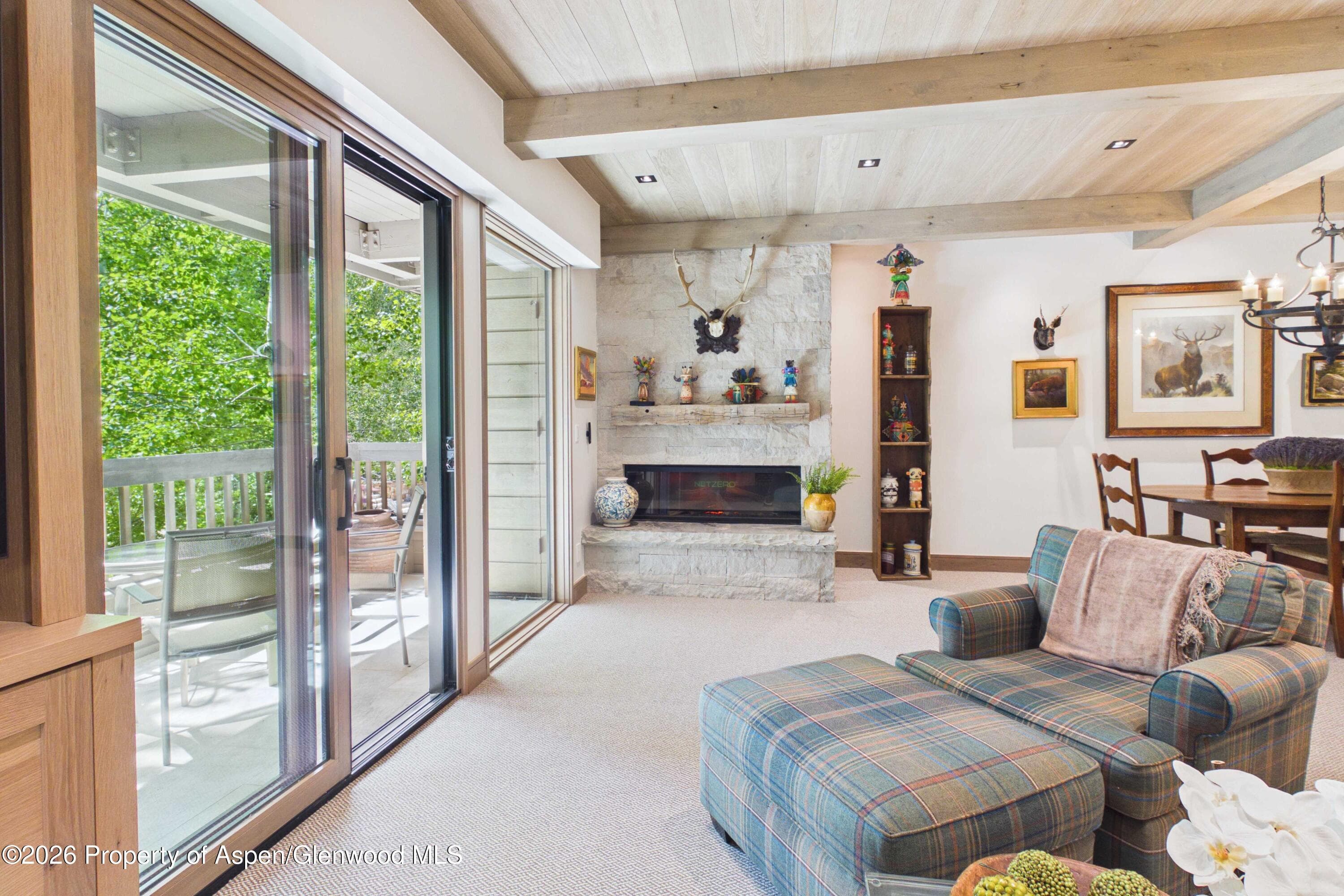 610 S West End Street G201, Aspen, CO 81611 - Photo 5