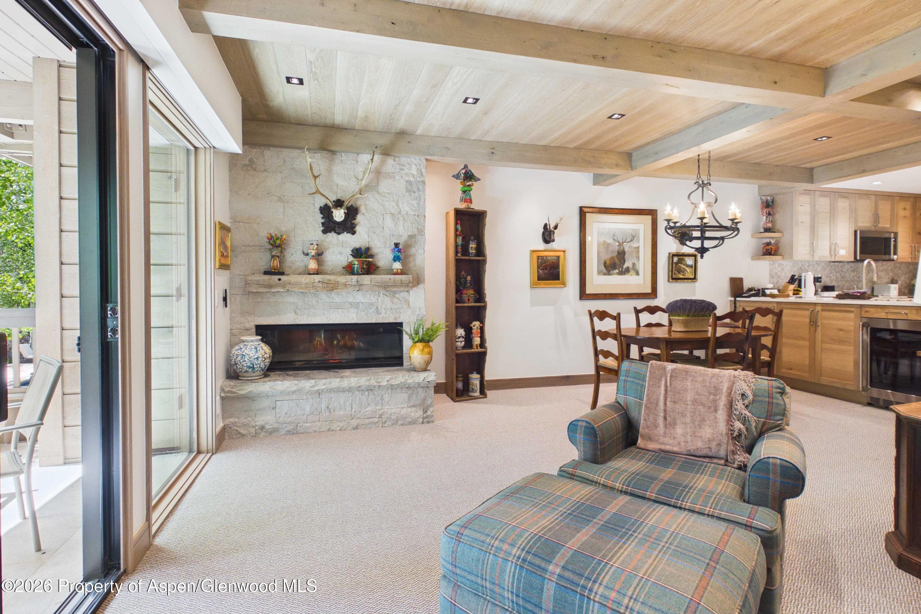 610 S West End Street G201, Aspen, CO 81611 - Photo 4
