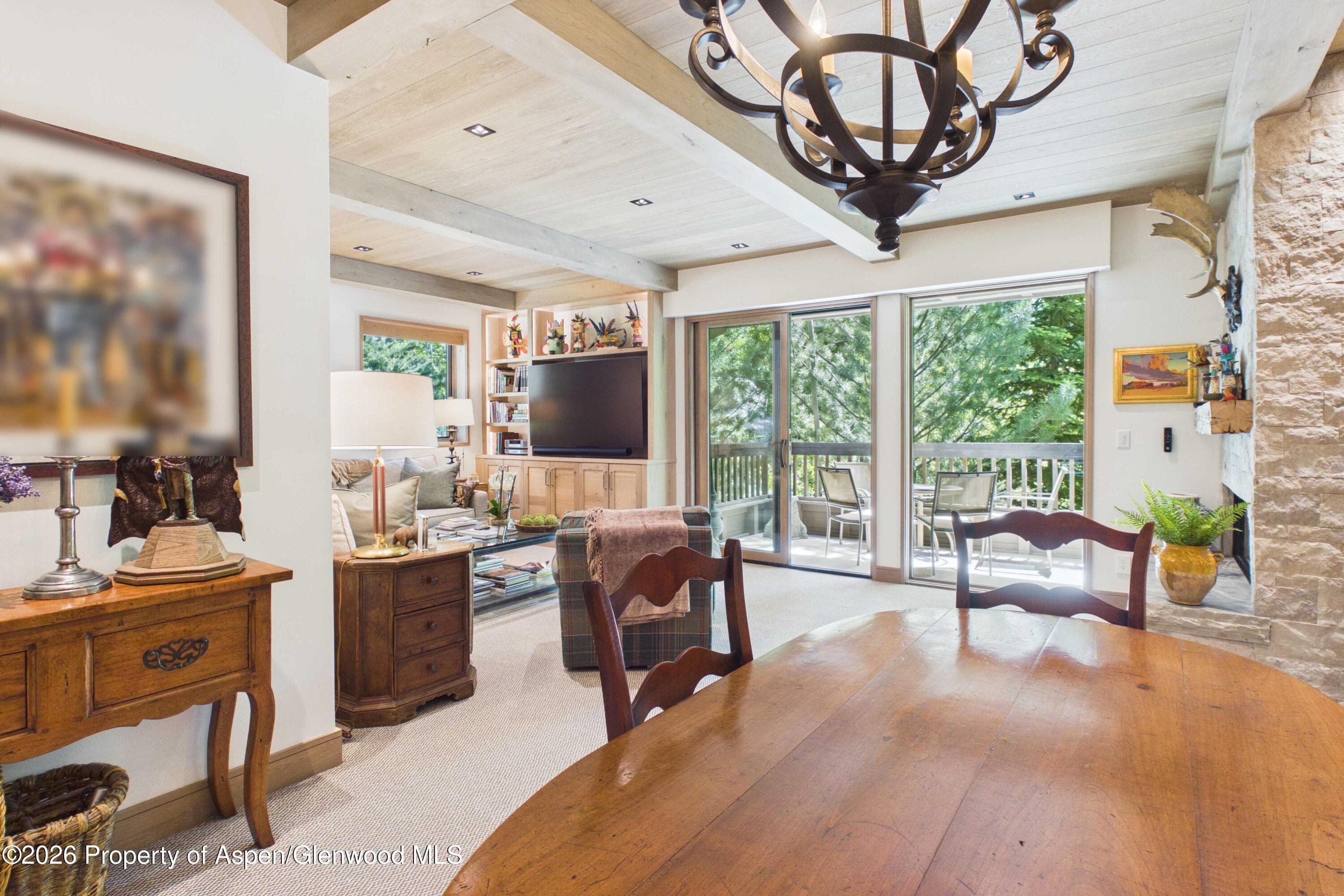 610 S West End Street G201, Aspen, CO 81611 - Photo 7