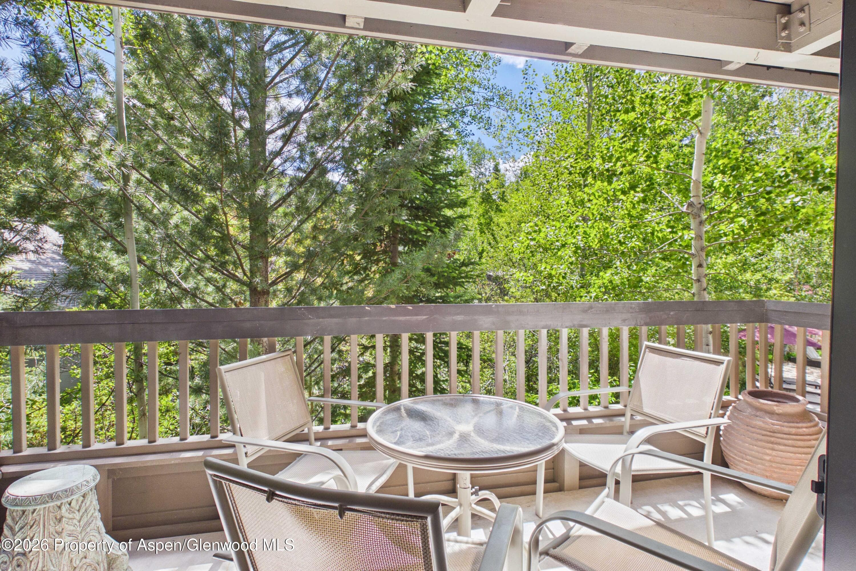 610 S West End Street G201, Aspen, CO 81611 - Photo 16