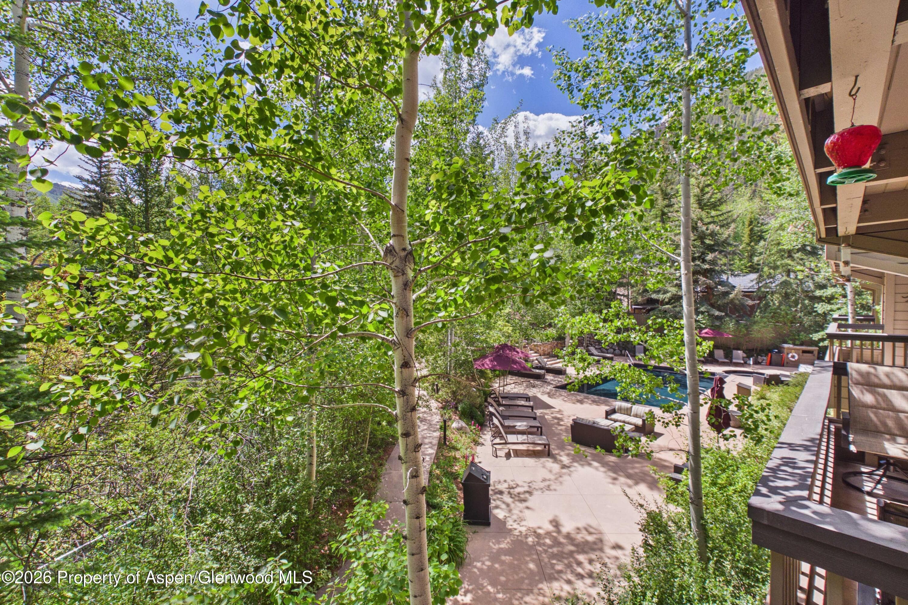 610 S West End Street G201, Aspen, CO 81611 - Photo 15