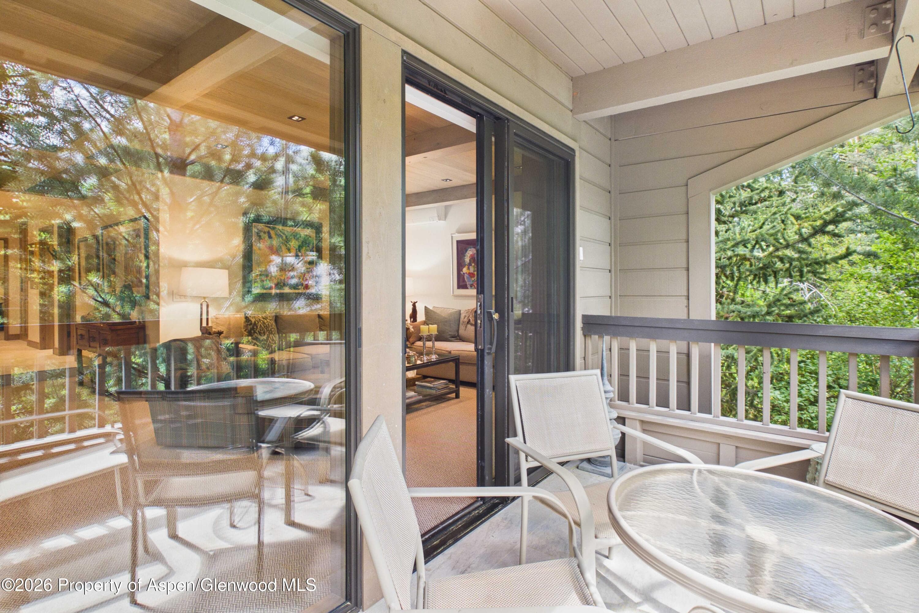 610 S West End Street G201, Aspen, CO 81611 - Photo 17