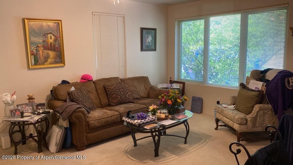 1400 E Valley Road 1, Carbondale, CO 81623