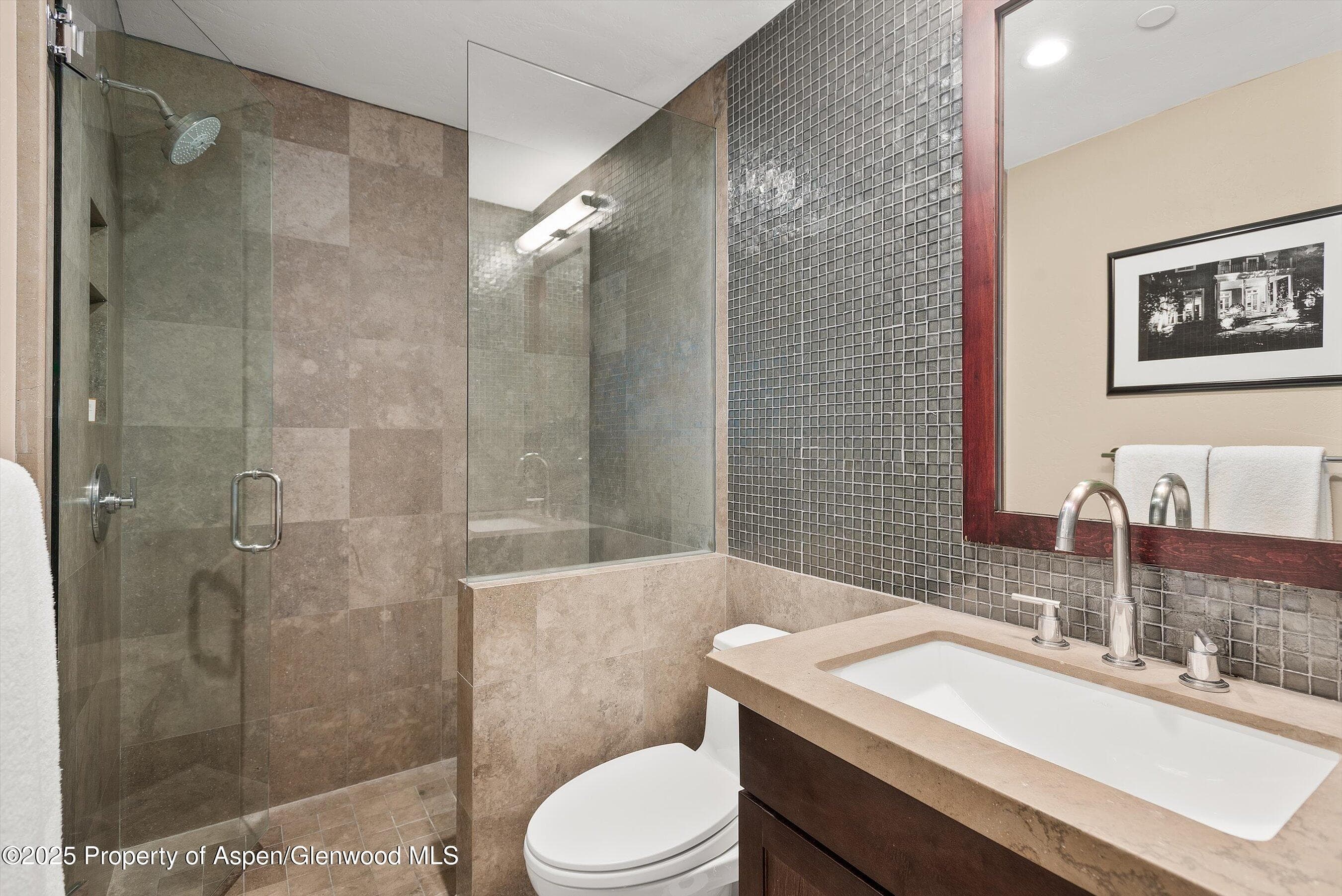 555 E Durant Avenue 4-E, Aspen, CO 81611 - Photo 13
