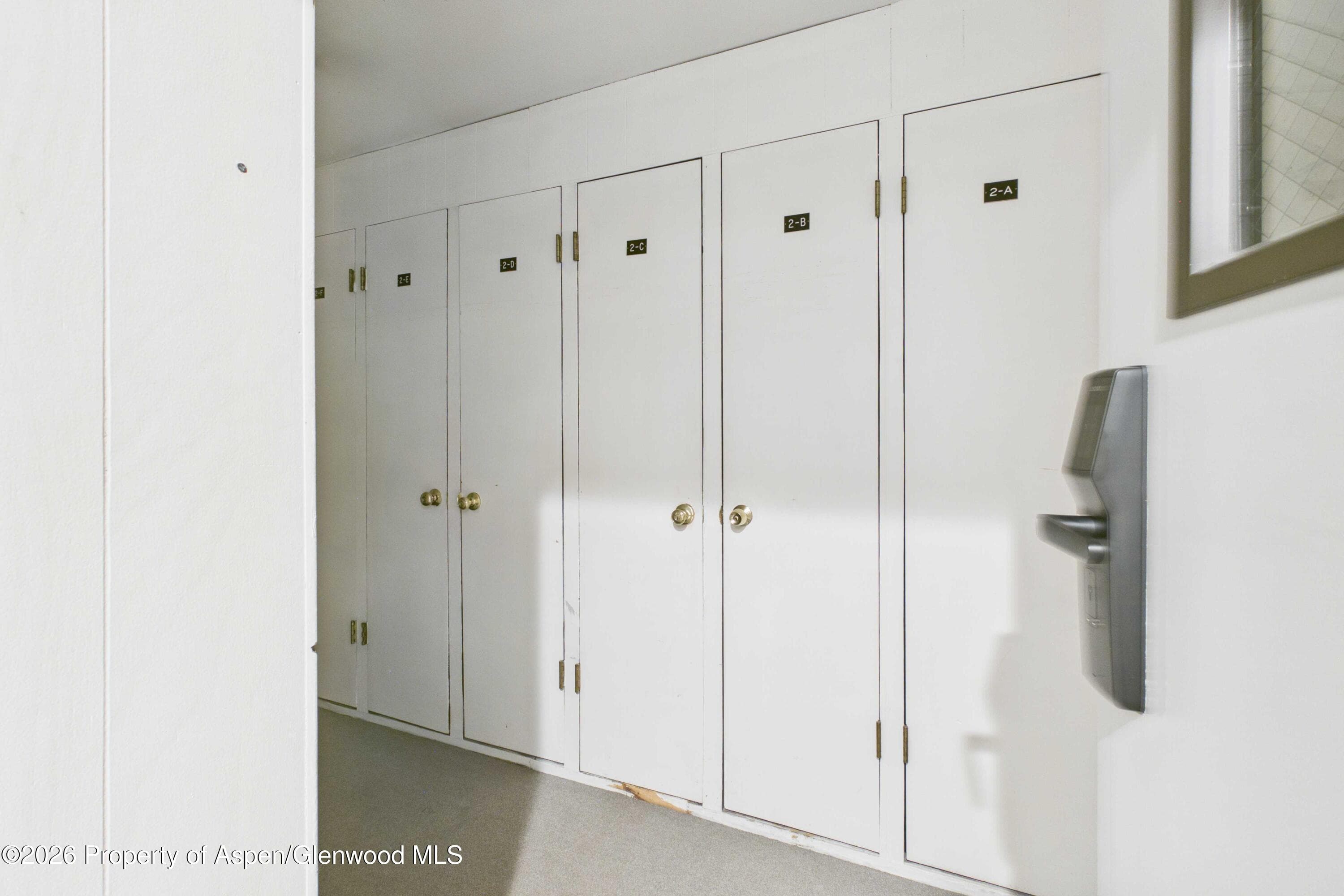 555 E Durant Avenue 4-E, Aspen, CO 81611 - Photo 15