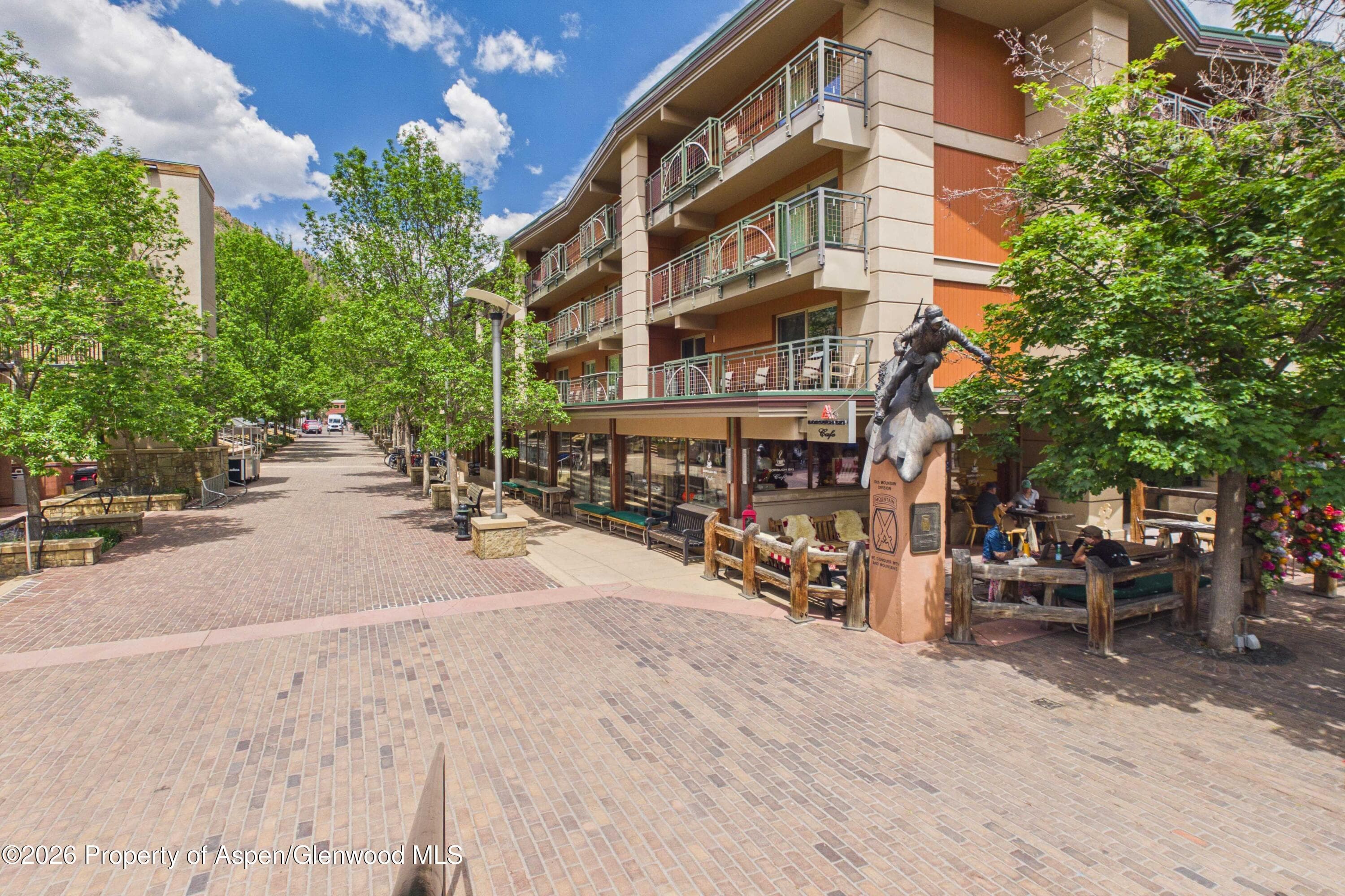 555 E Durant Avenue 4-E, Aspen, CO 81611 - Photo 18