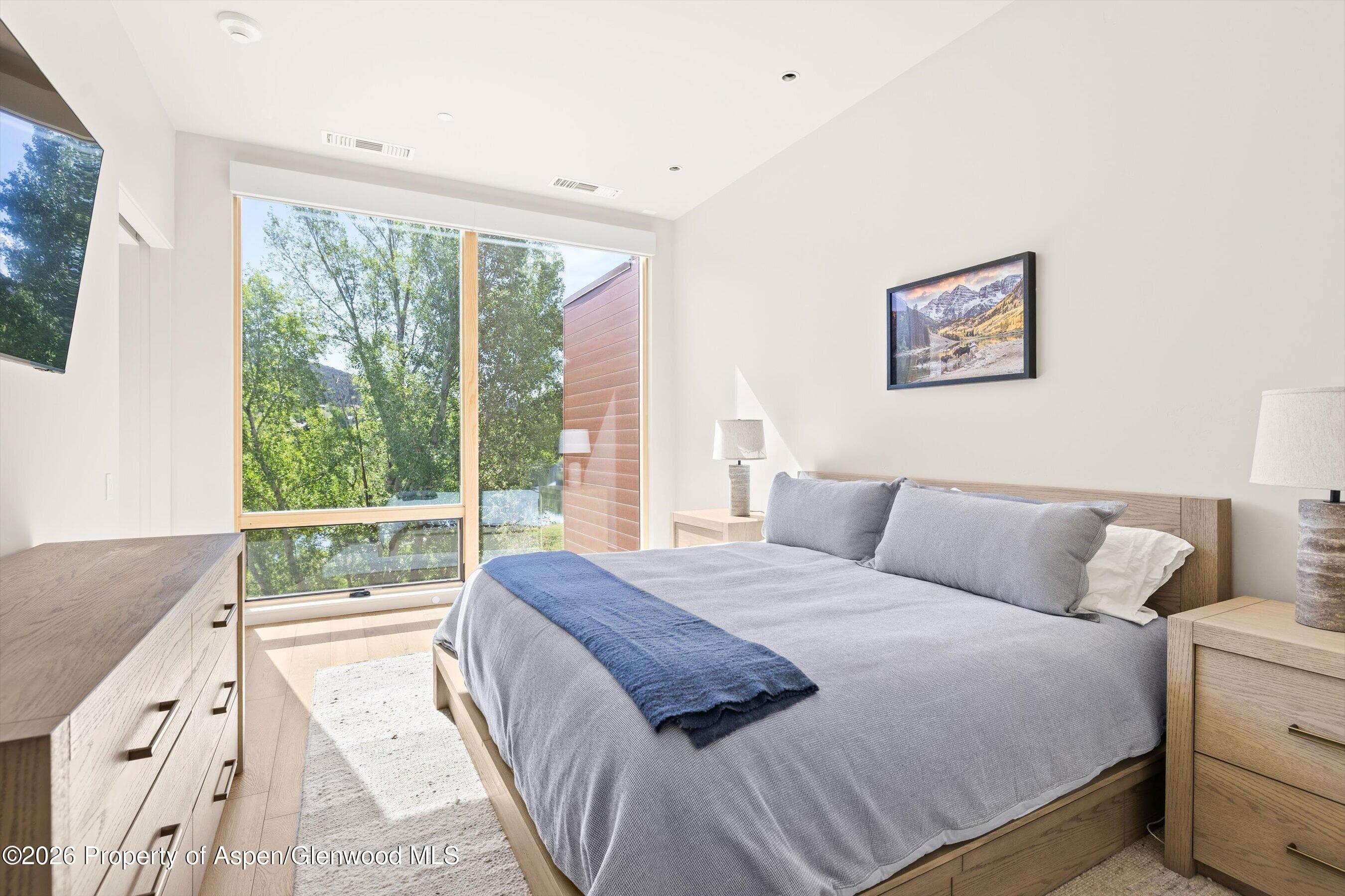 101 Willow Road 206, Basalt, CO 81621 - Photo 7