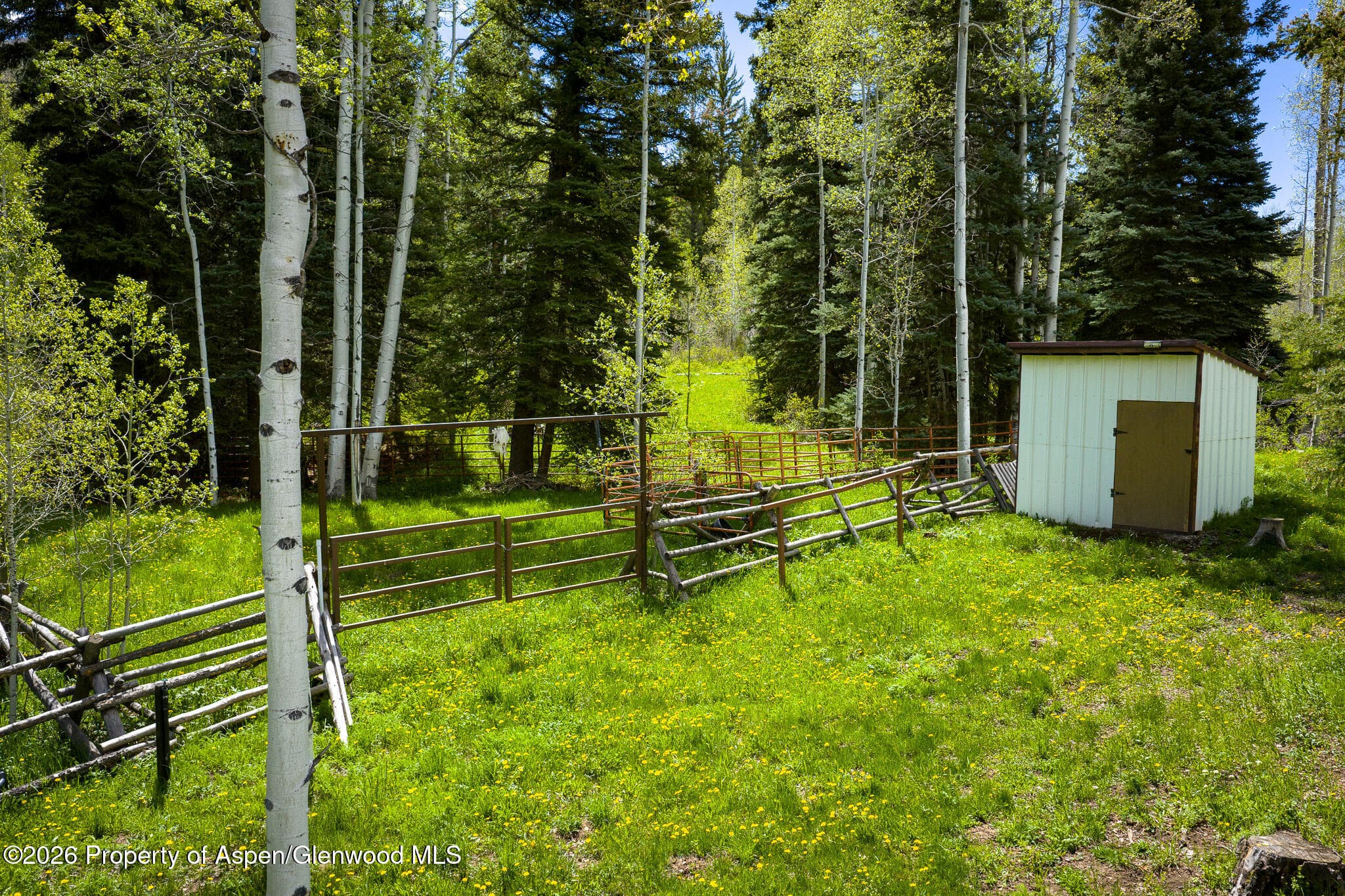12123 Co Rd 313, New Castle, CO 81647 - Photo 7
