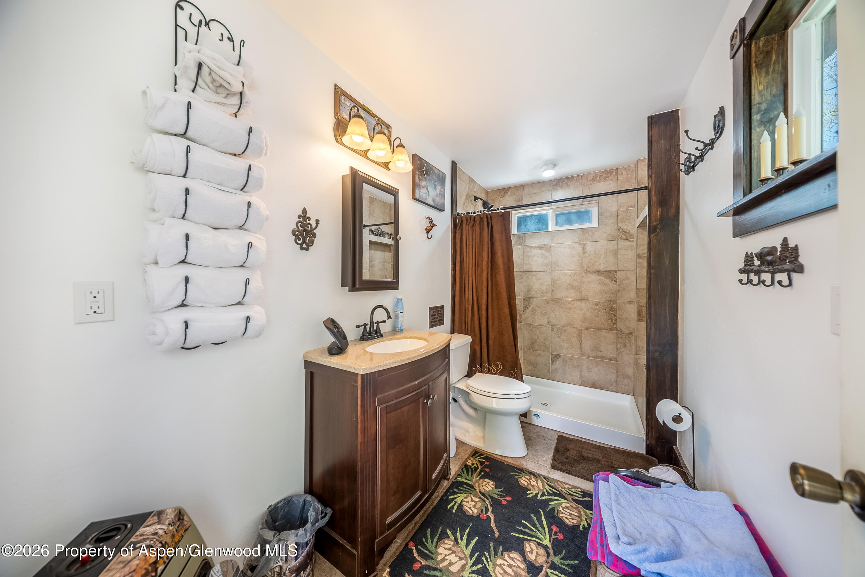12123 Co Rd 313, New Castle, CO 81647 - Photo 28