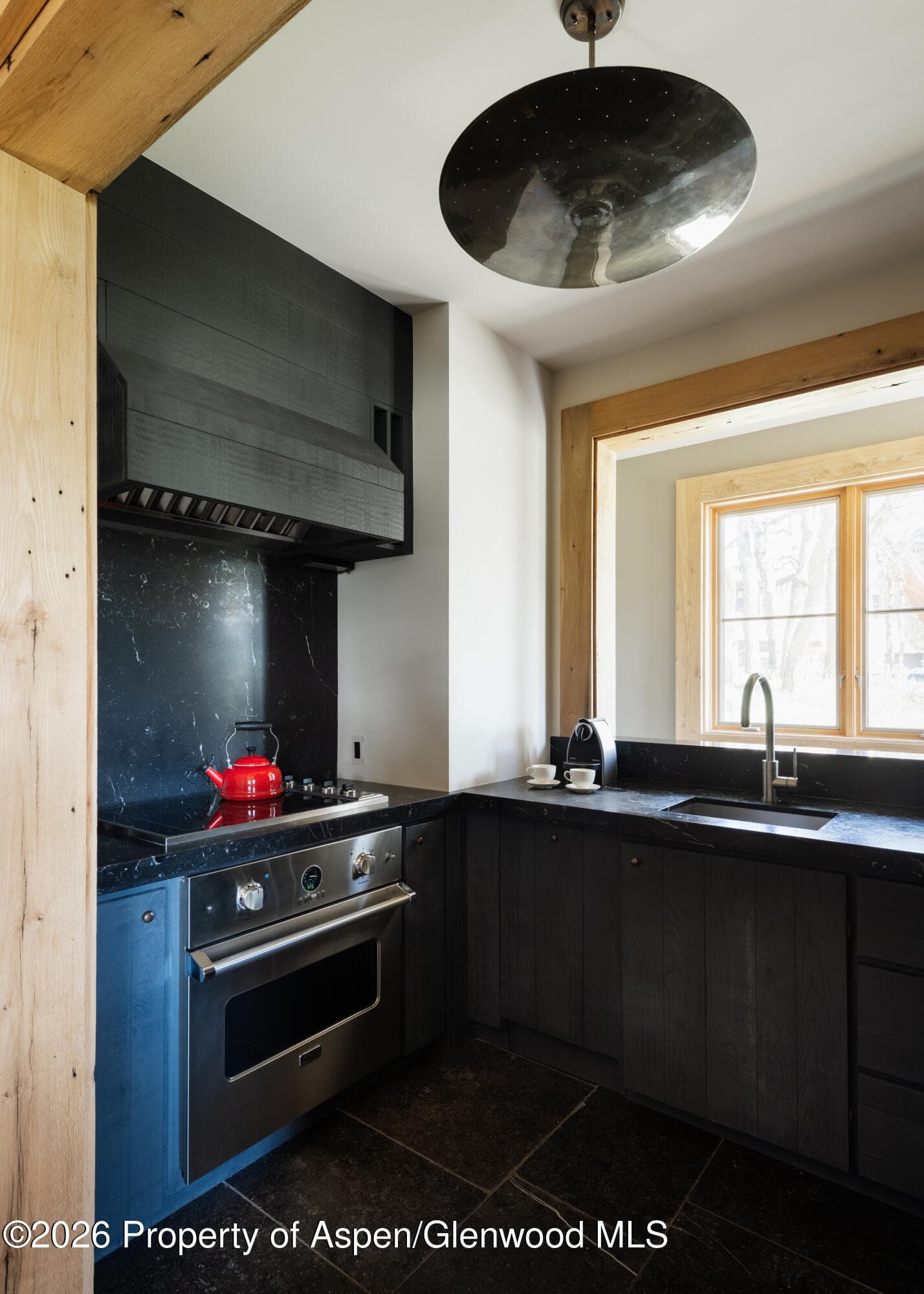 115 Meadowlark Lane, Aspen, CO 81611 - Photo 36