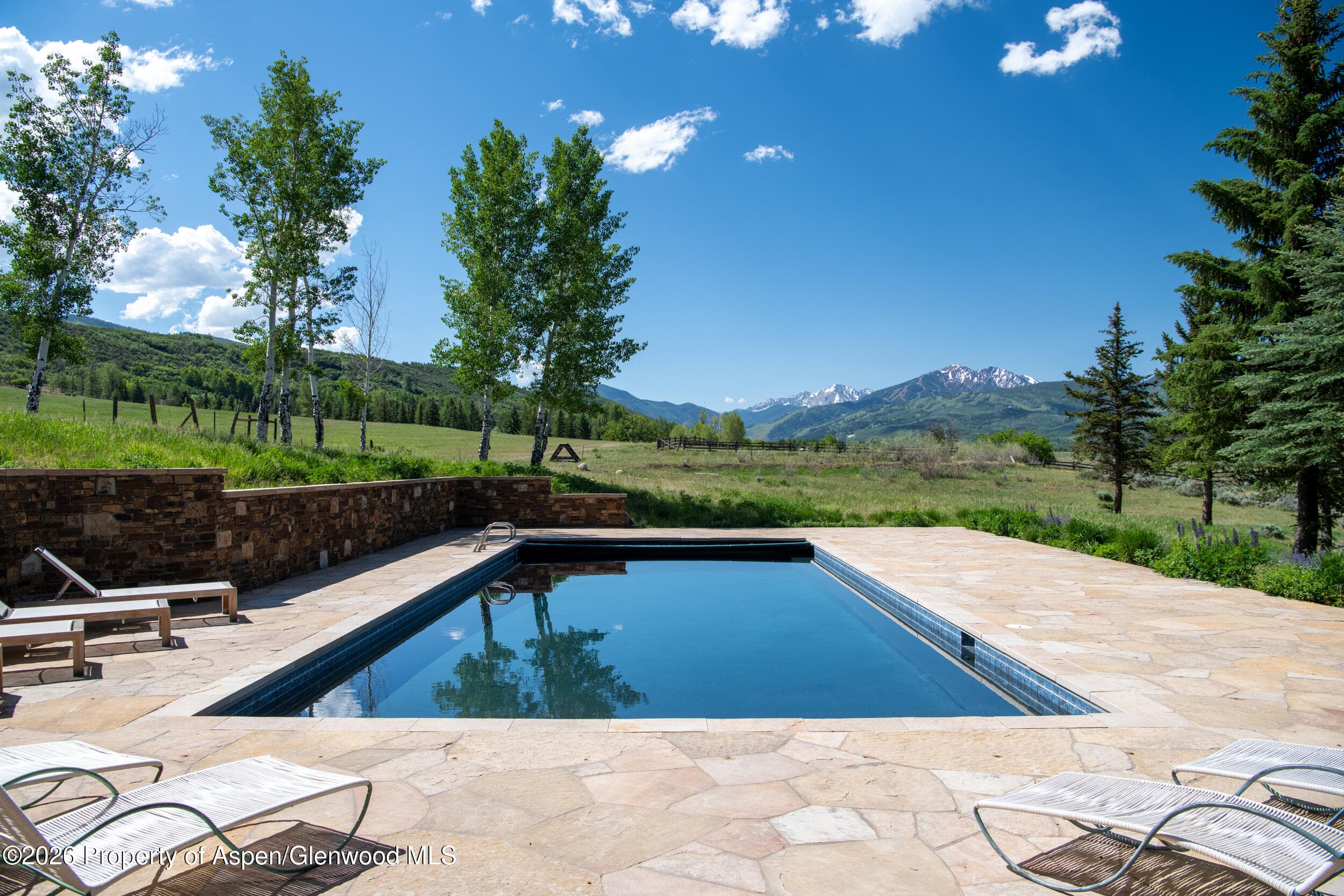 115 Meadowlark Lane, Aspen, CO 81611 - Photo 39