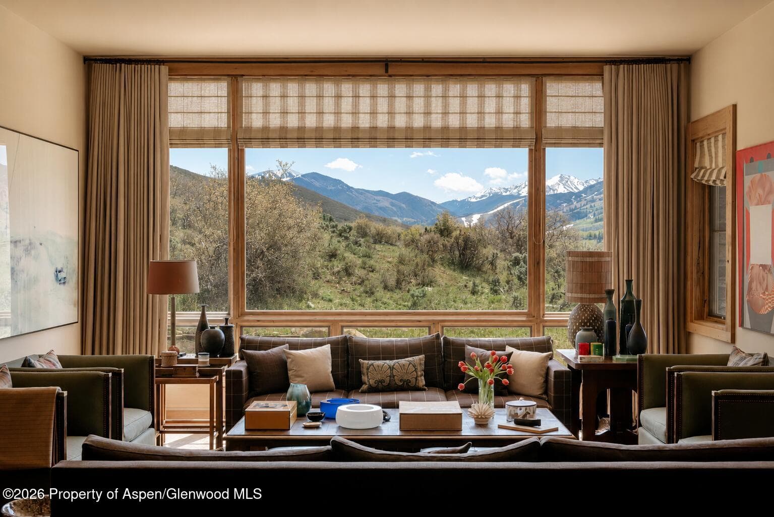 115 Meadowlark Lane, Aspen, CO 81611 - Photo 9