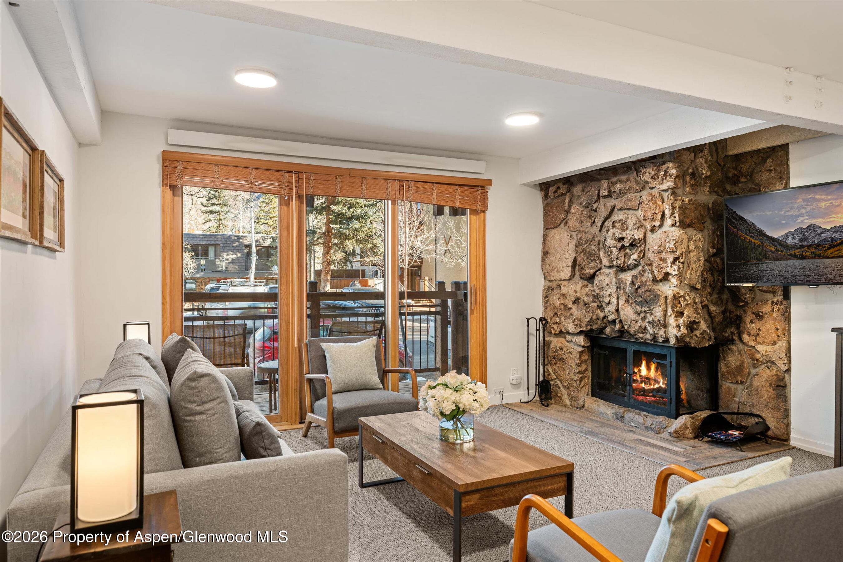 131 E Durant Avenue 104, Aspen, CO 81611