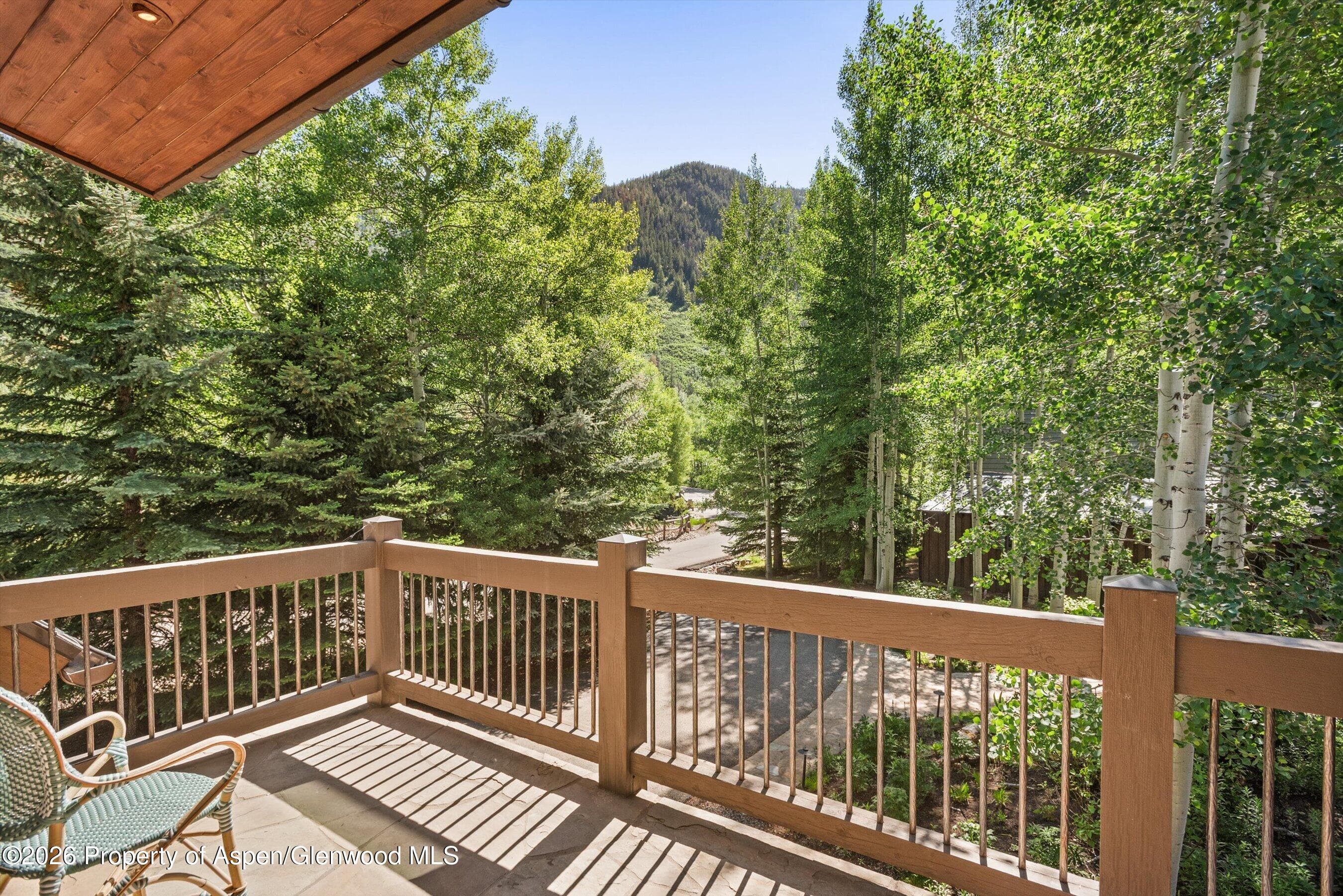 10 Popcorn Lane, Aspen, CO 81611 - Photo 27