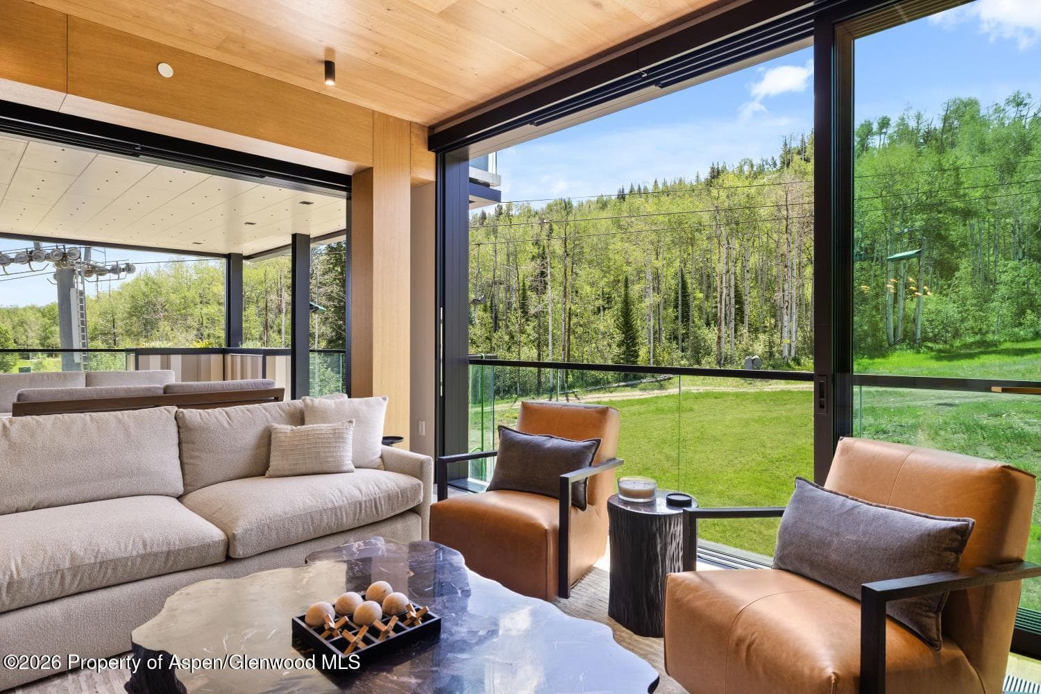 180 Wood Road 402, Snowmass Village, CO 81615 - Photo 4