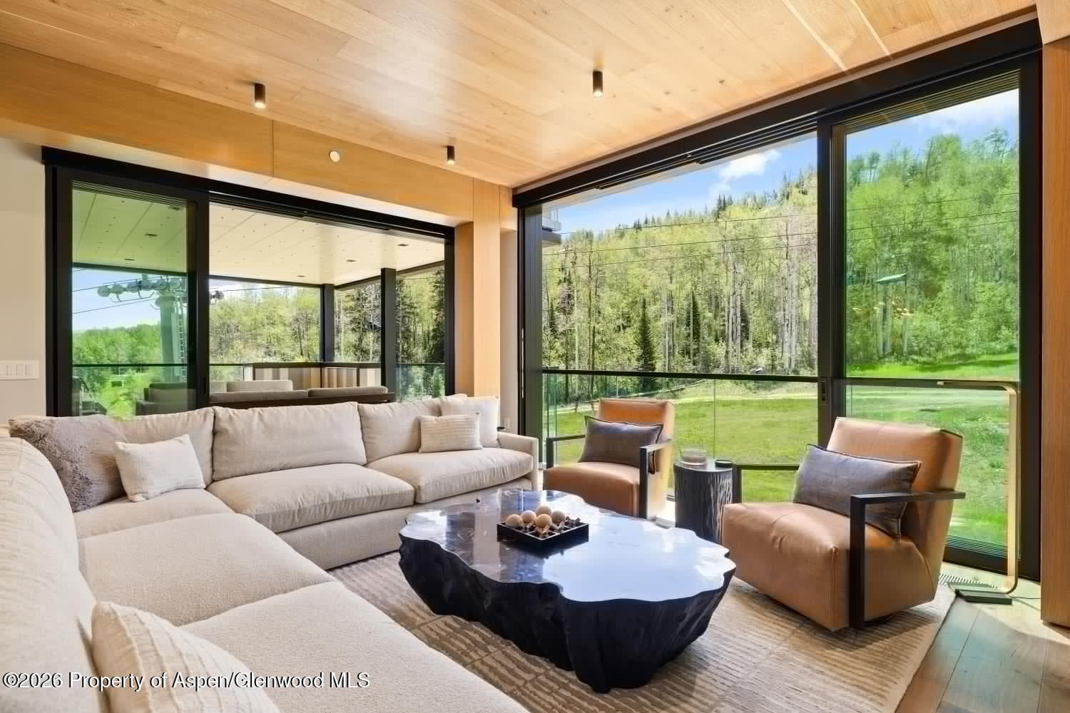 180 Wood Road 402, Snowmass Village, CO 81615 - Photo 3