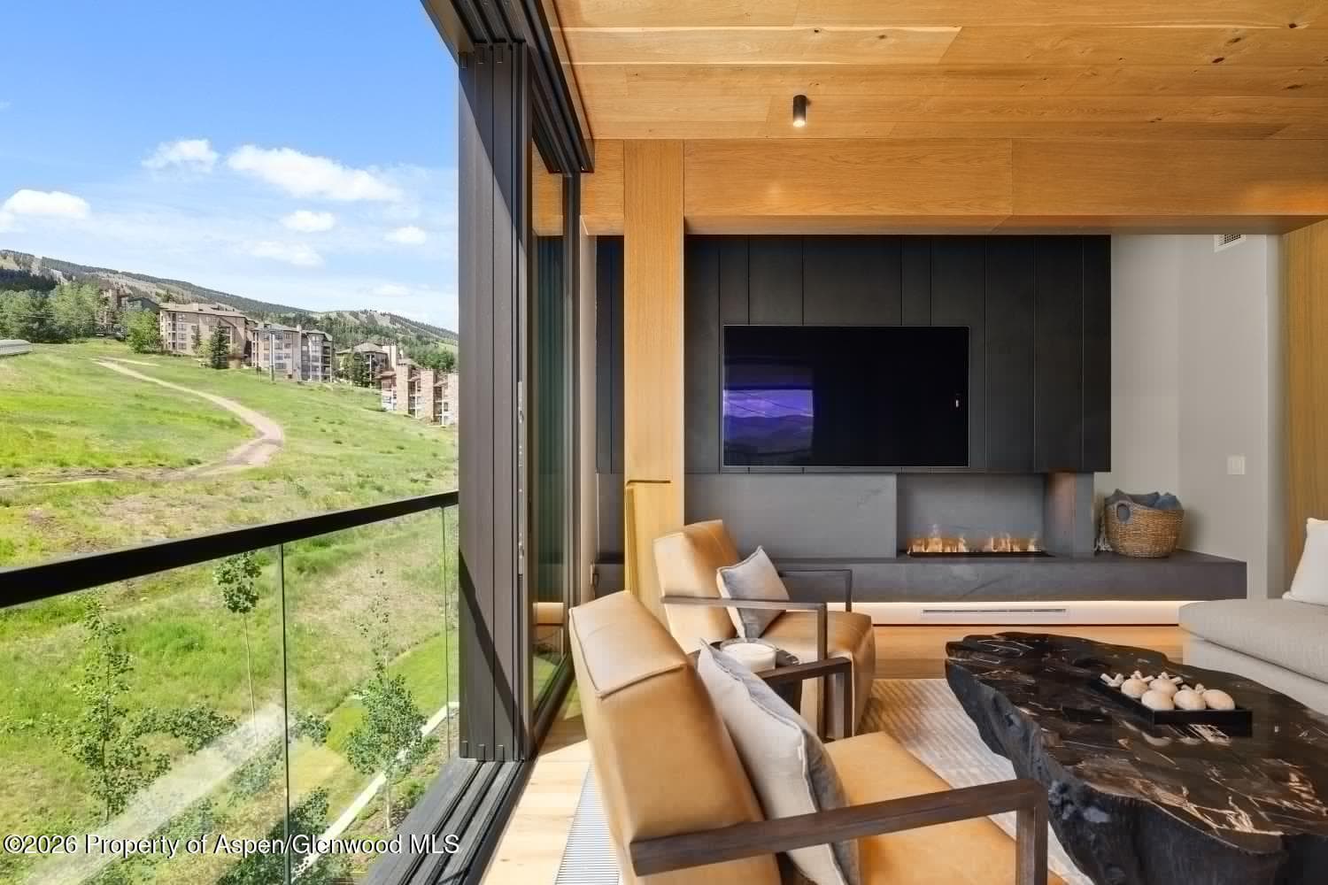 180 Wood Road 402, Snowmass Village, CO 81615 - Photo 13