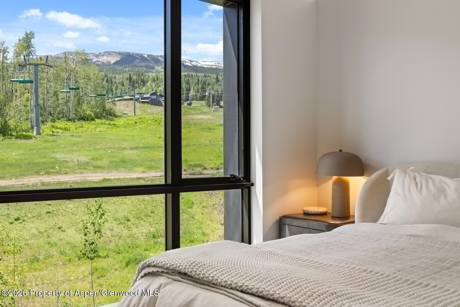 180 Wood Road 402, Snowmass Village, CO 81615 - Photo 16