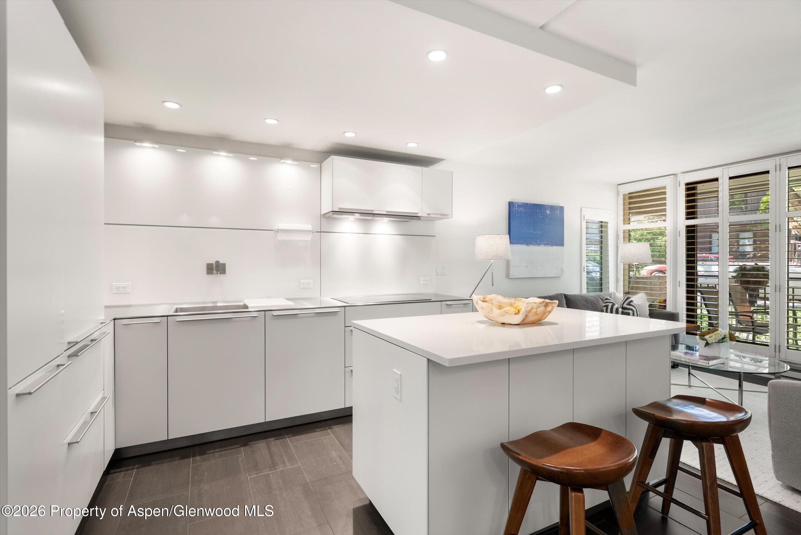 800 E Hopkins Avenue A-3, Aspen, CO 81611 - Photo 11