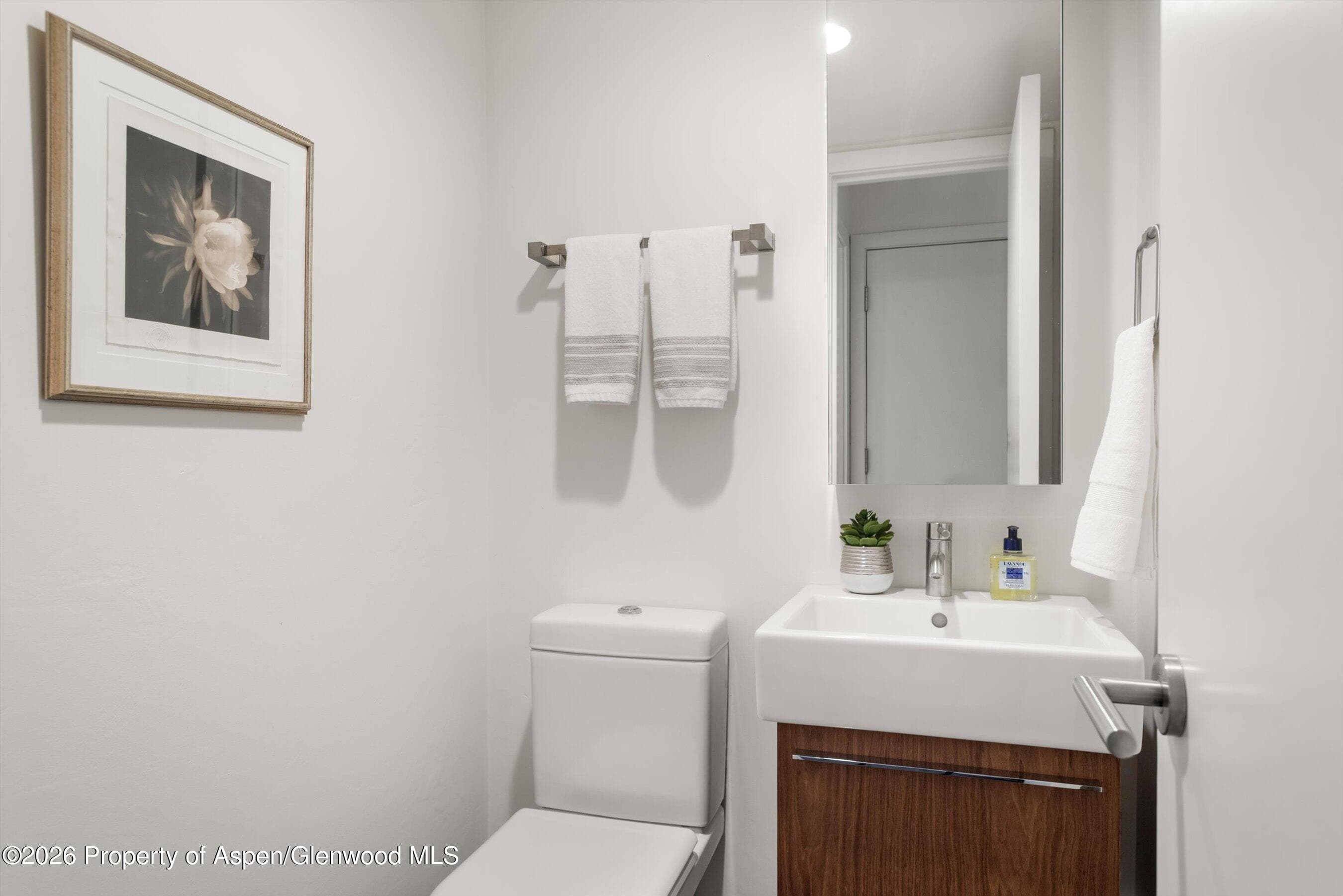 800 E Hopkins Avenue A-3, Aspen, CO 81611 - Photo 20