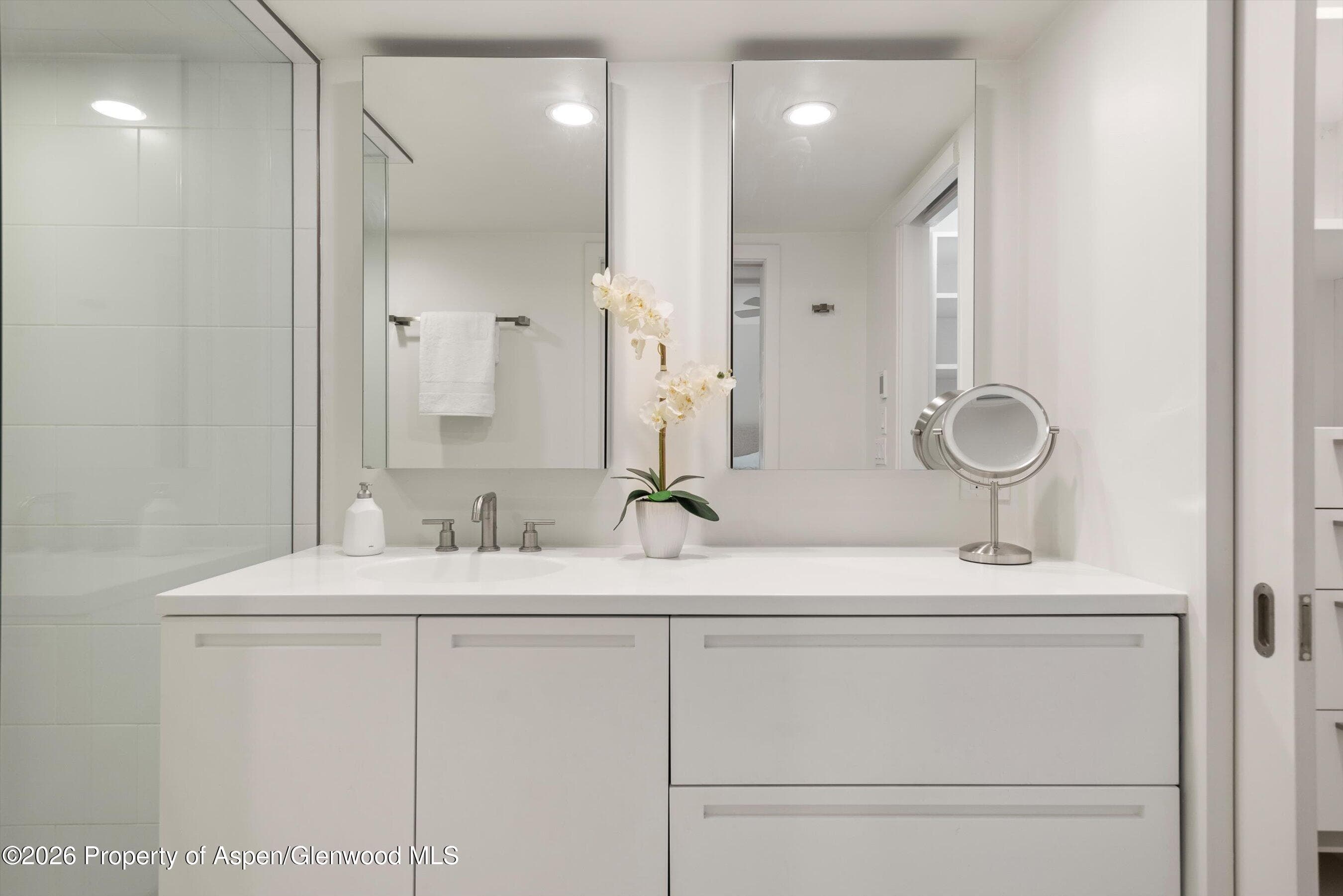 800 E Hopkins Avenue A-3, Aspen, CO 81611 - Photo 27