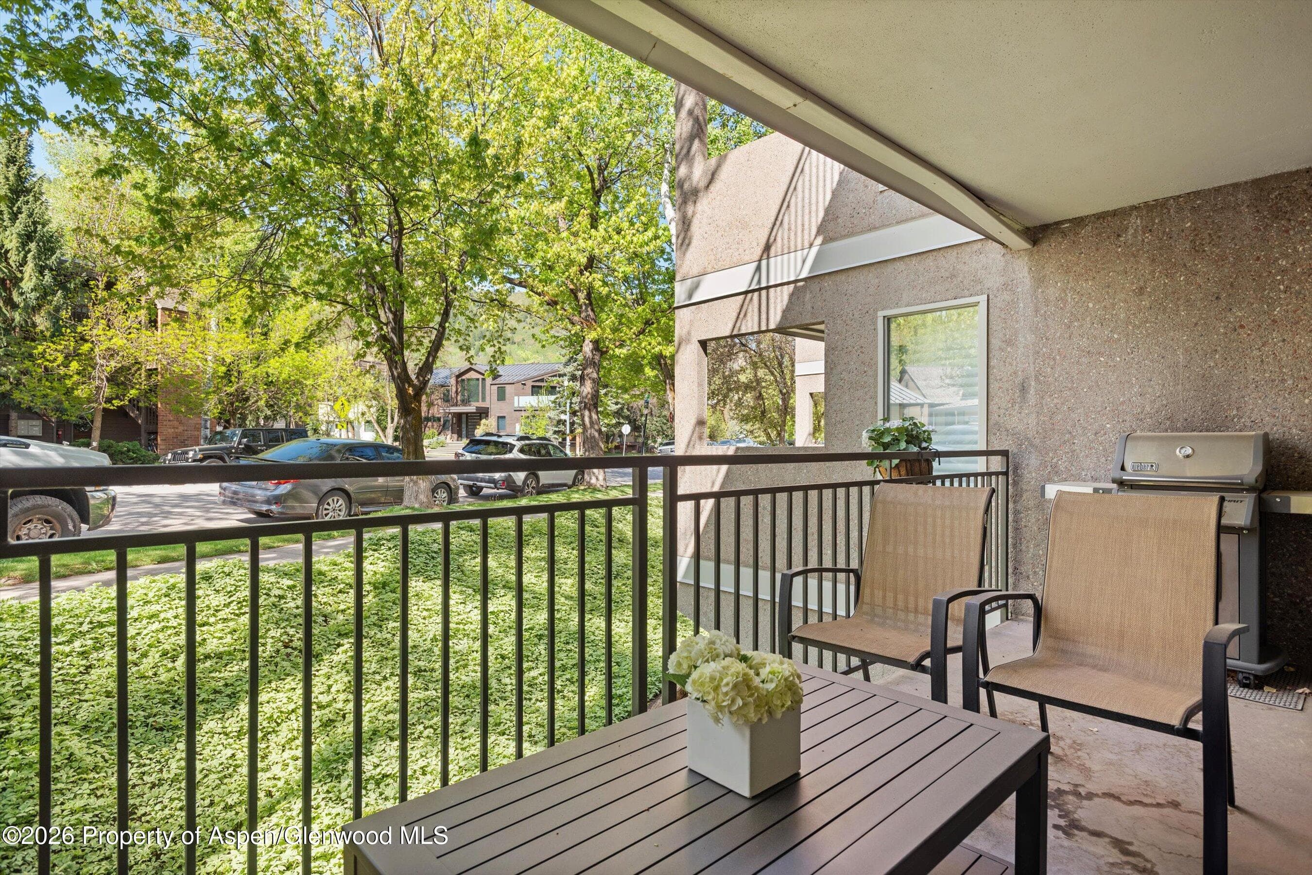800 E Hopkins Avenue A-3, Aspen, CO 81611 - Photo 36