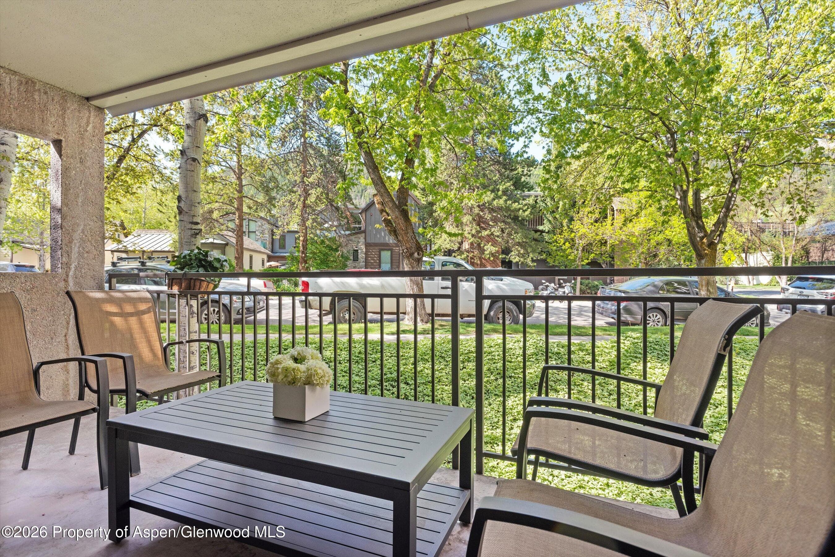 800 E Hopkins Avenue A-3, Aspen, CO 81611 - Photo 38