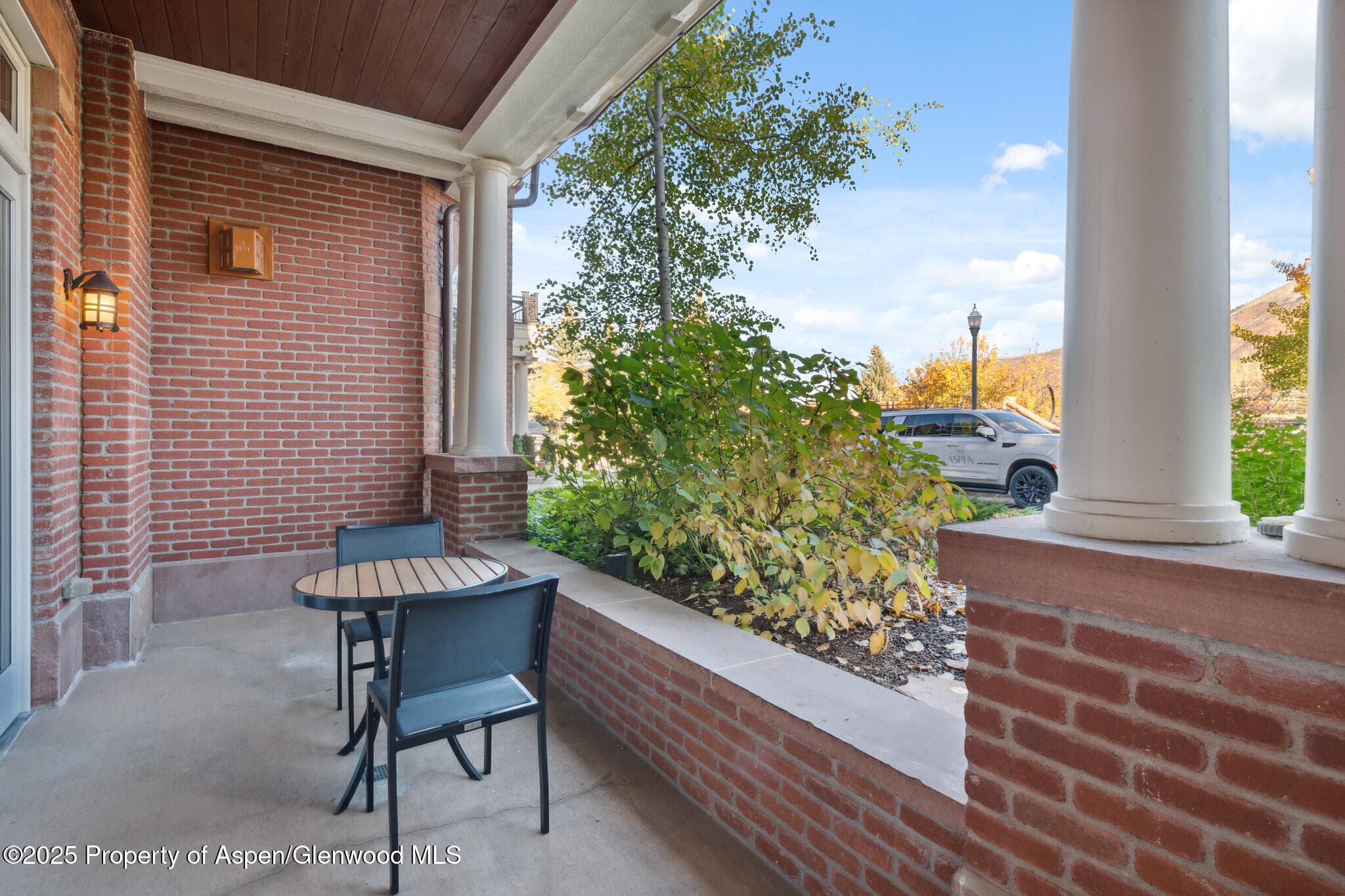 415 E Dean St, Unit 2, Week 31, Aspen, CO 81611 - Photo 9