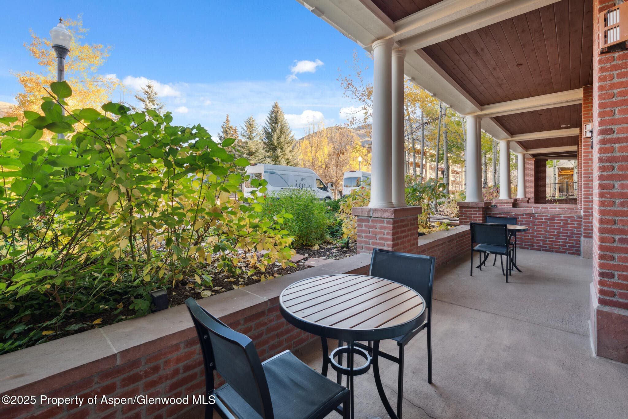 415 E Dean St, Unit 2, Week 31, Aspen, CO 81611 - Photo 13
