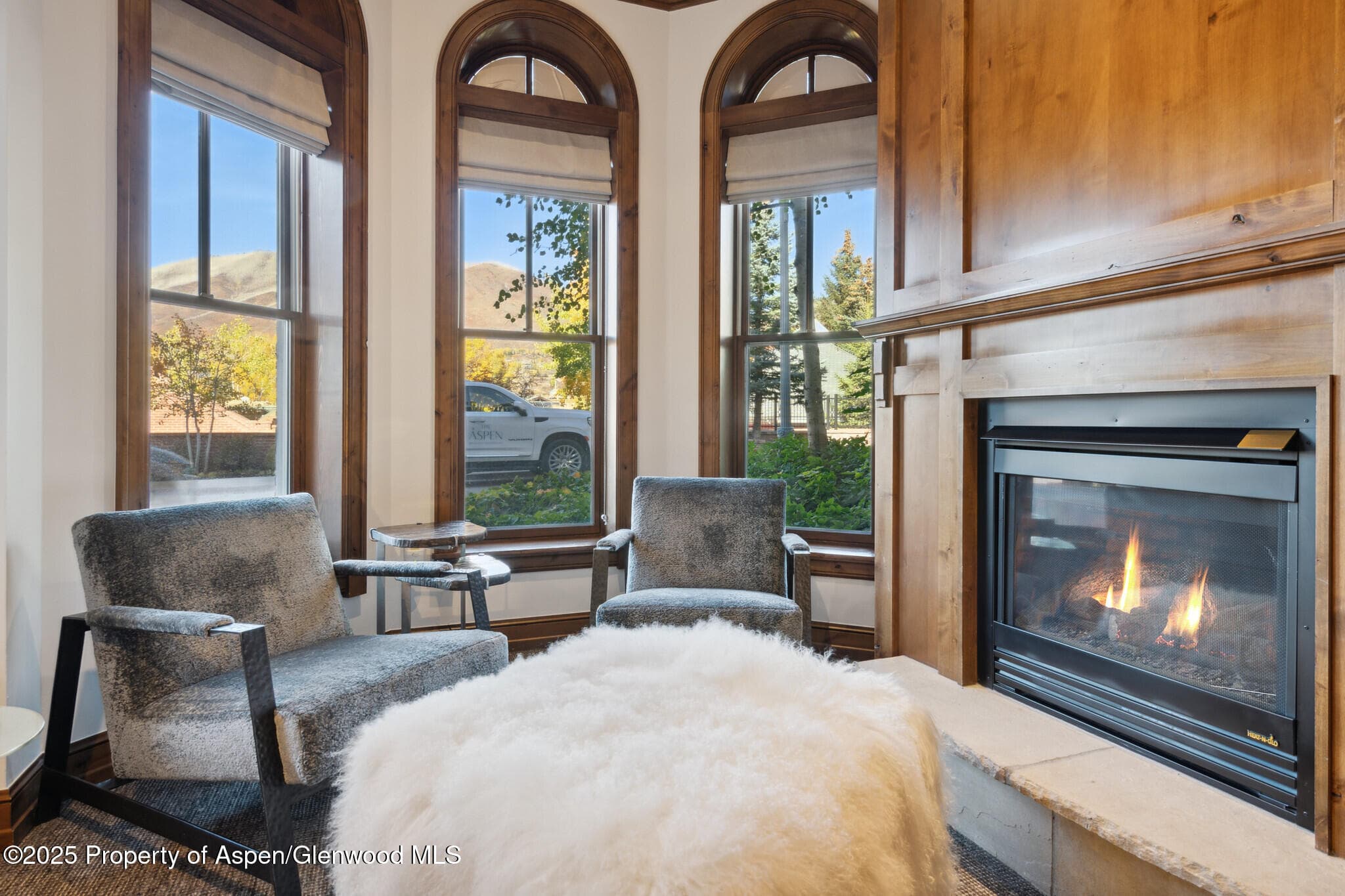 415 E Dean St, Unit 2, Week 31, Aspen, CO 81611 - Photo 18