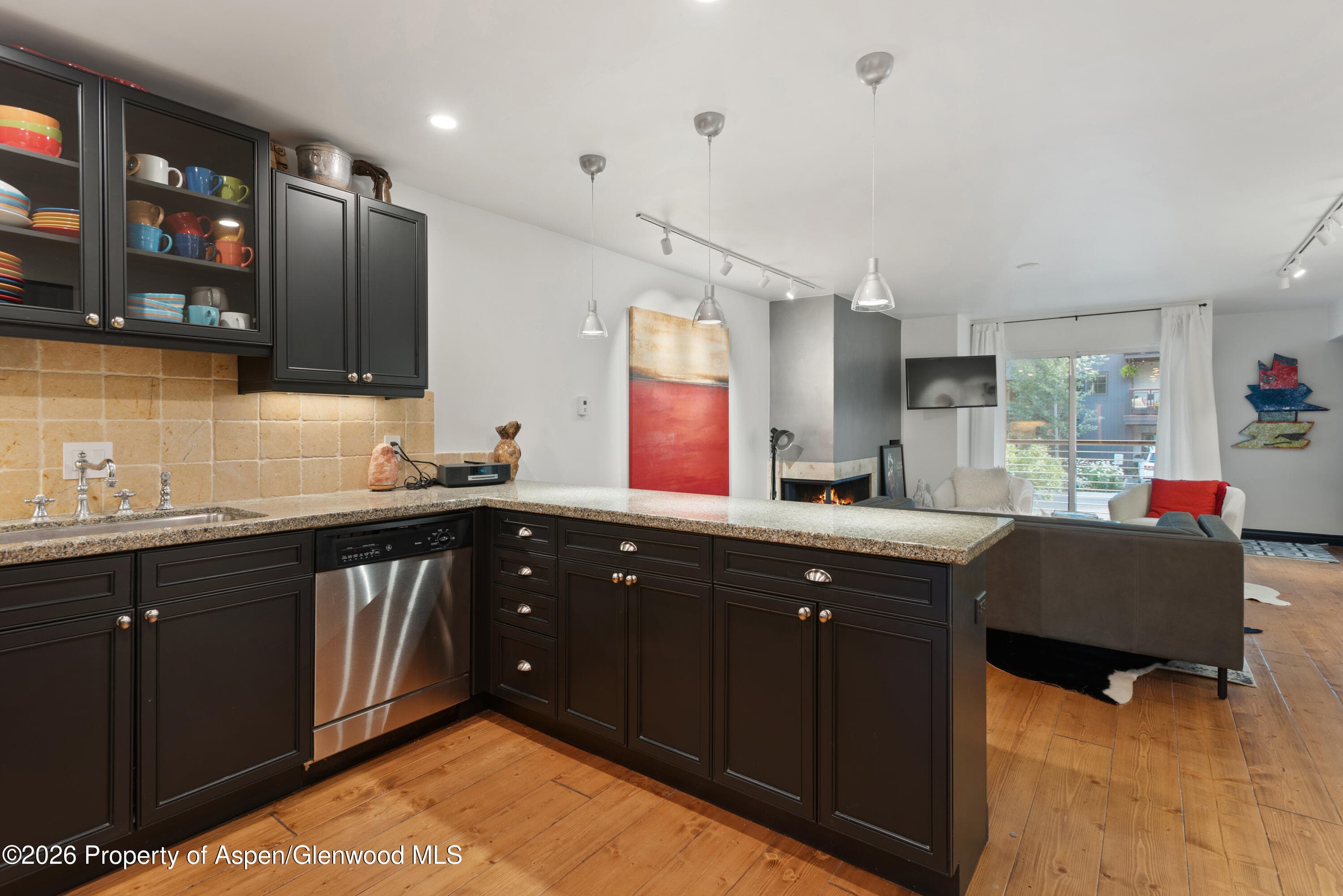 100 E Dean Street Unit 2b, Aspen, CO 81611 - Photo 5