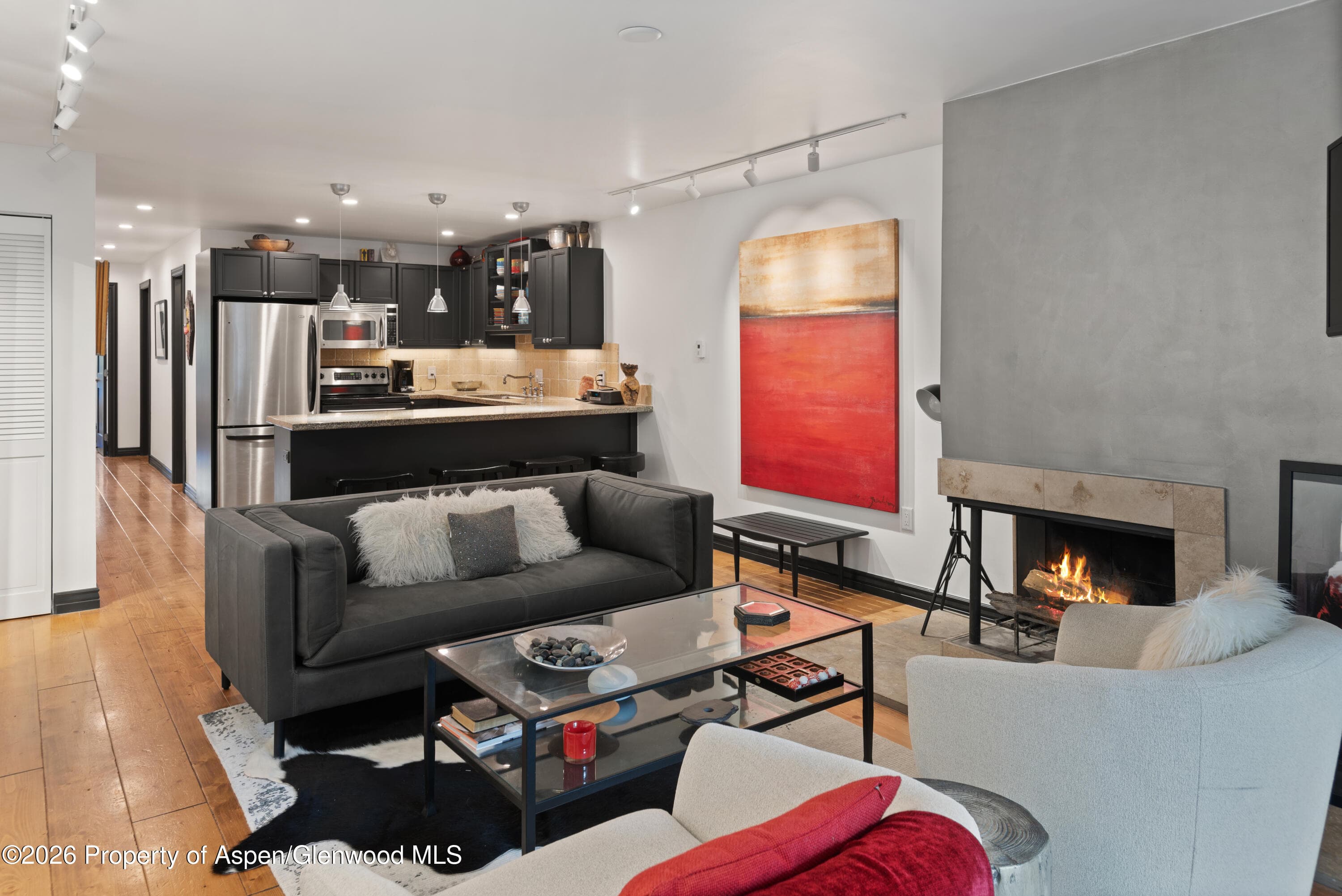 100 E Dean Street Unit 2b, Aspen, CO 81611 - Photo 2