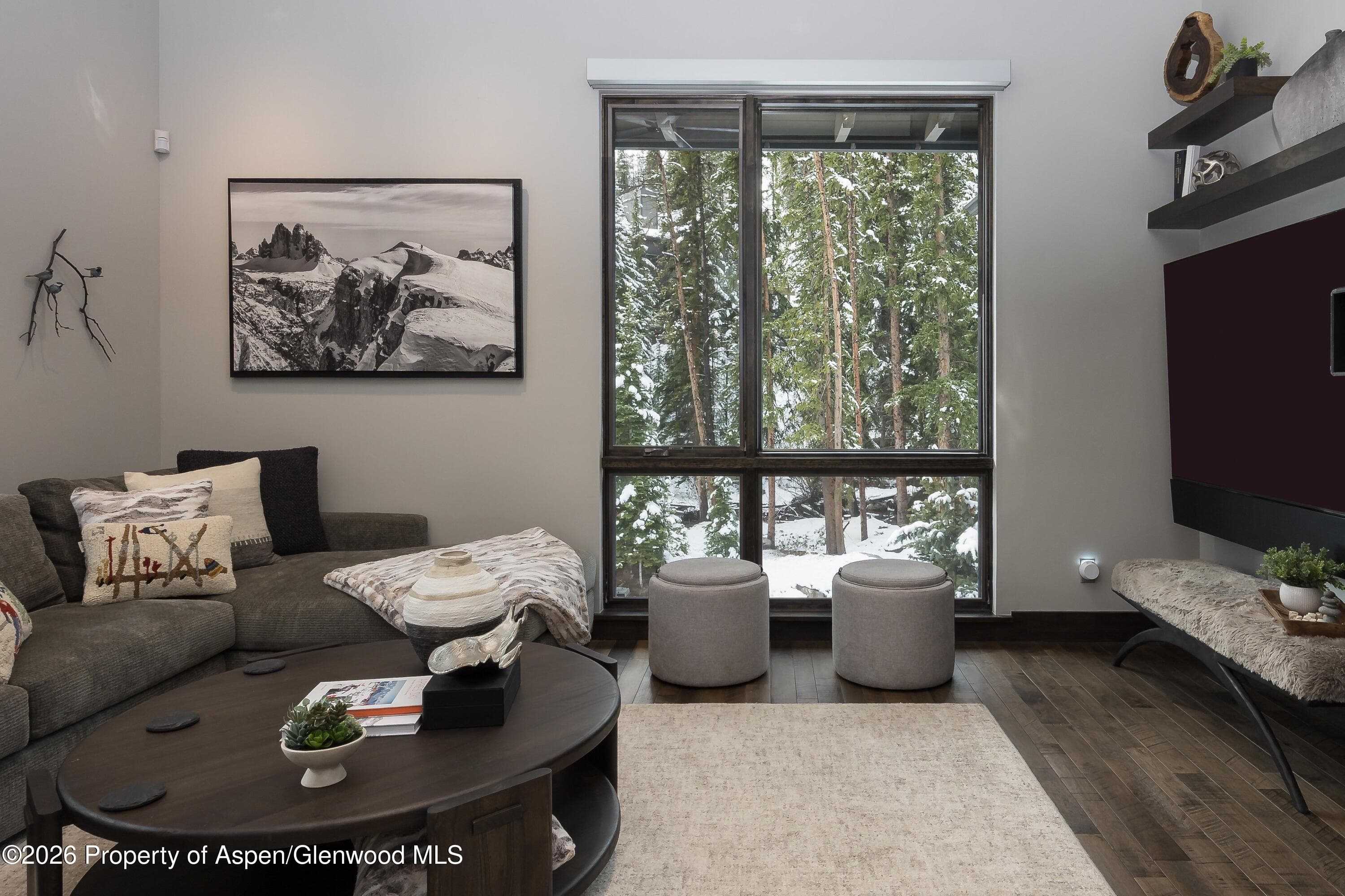 273 River Park Drive, Breckenridge, CO 80424 - Photo 14