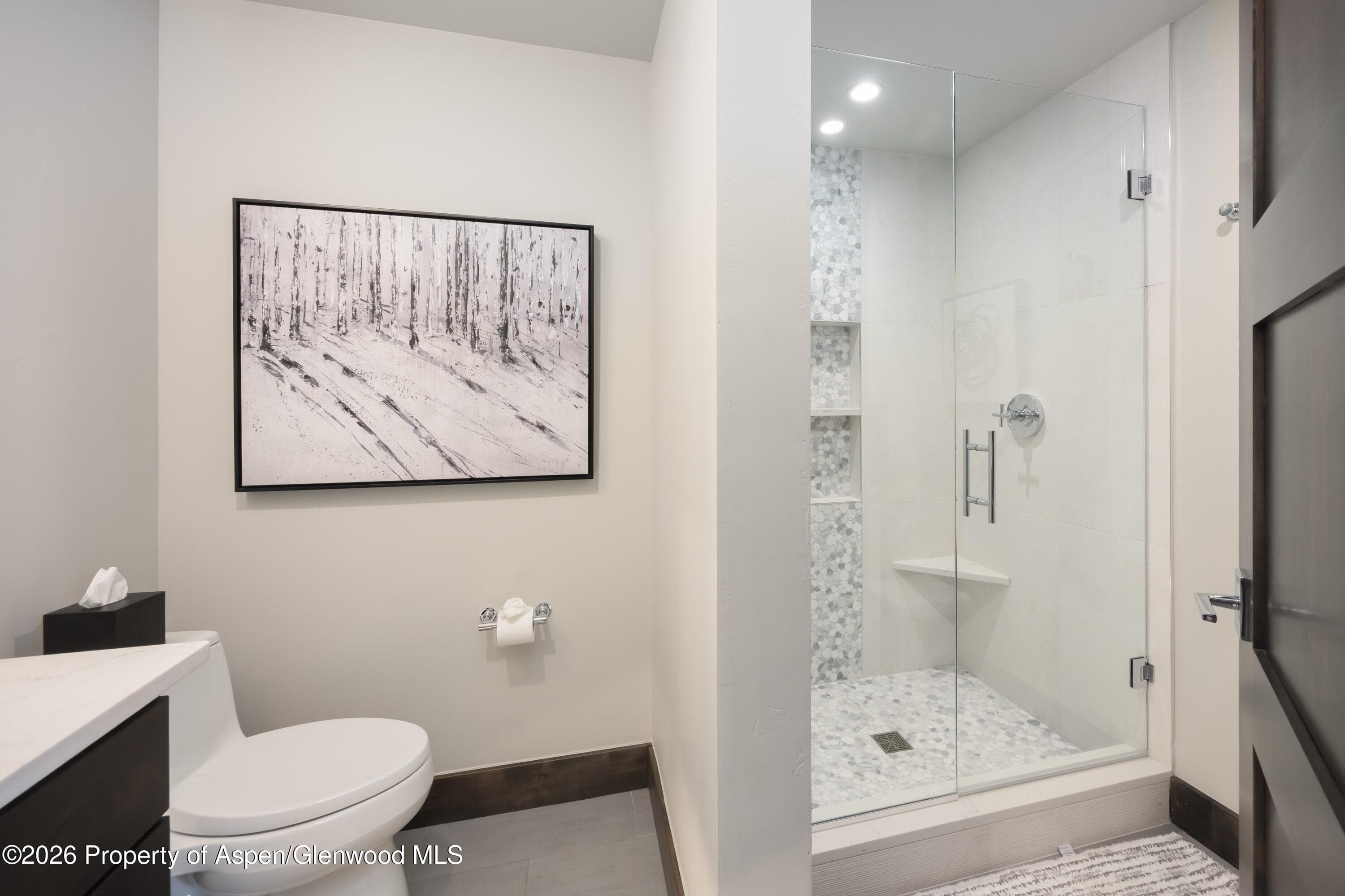 273 River Park Drive, Breckenridge, CO 80424 - Photo 25