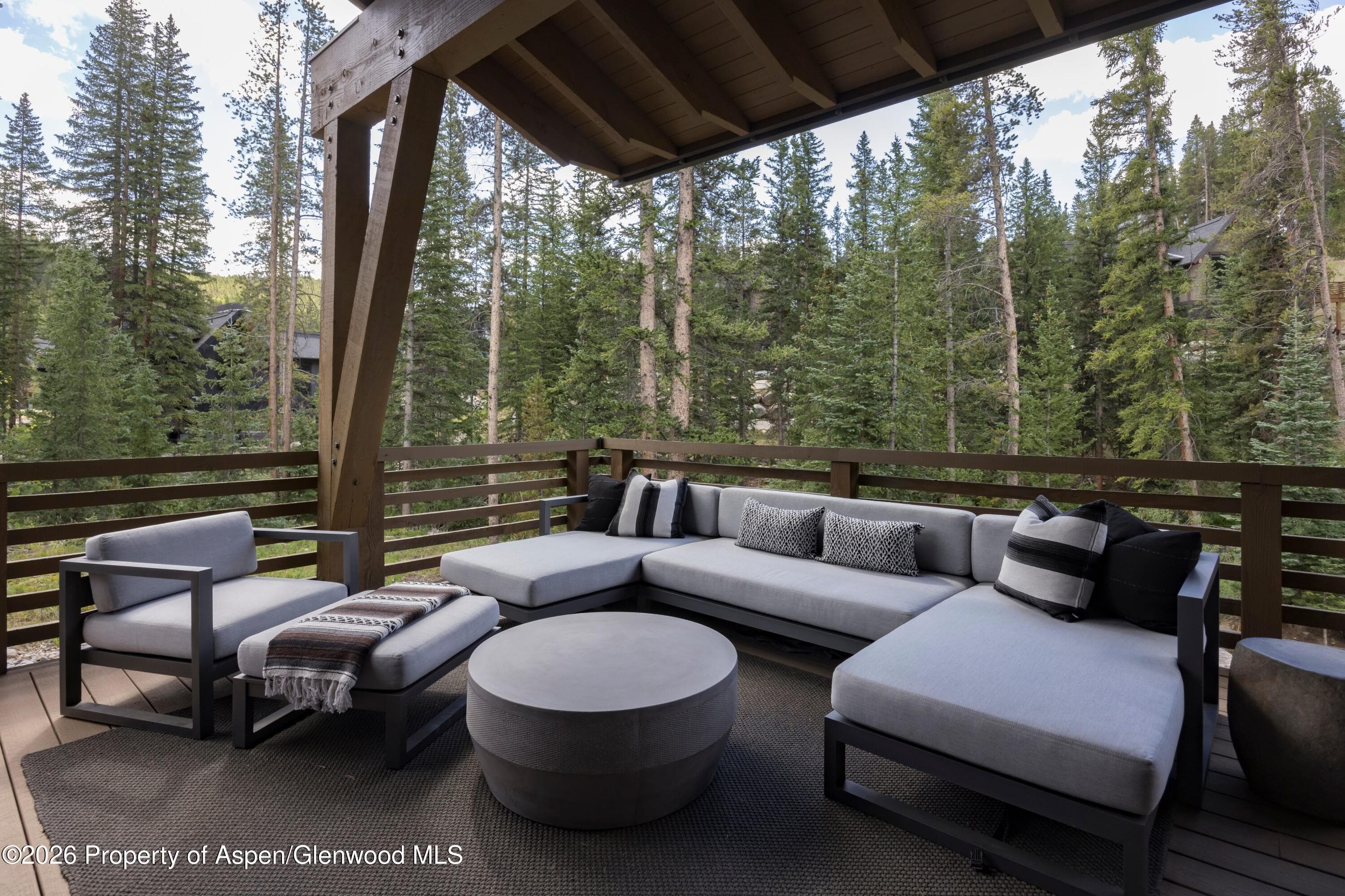 273 River Park Drive, Breckenridge, CO 80424 - Photo 29