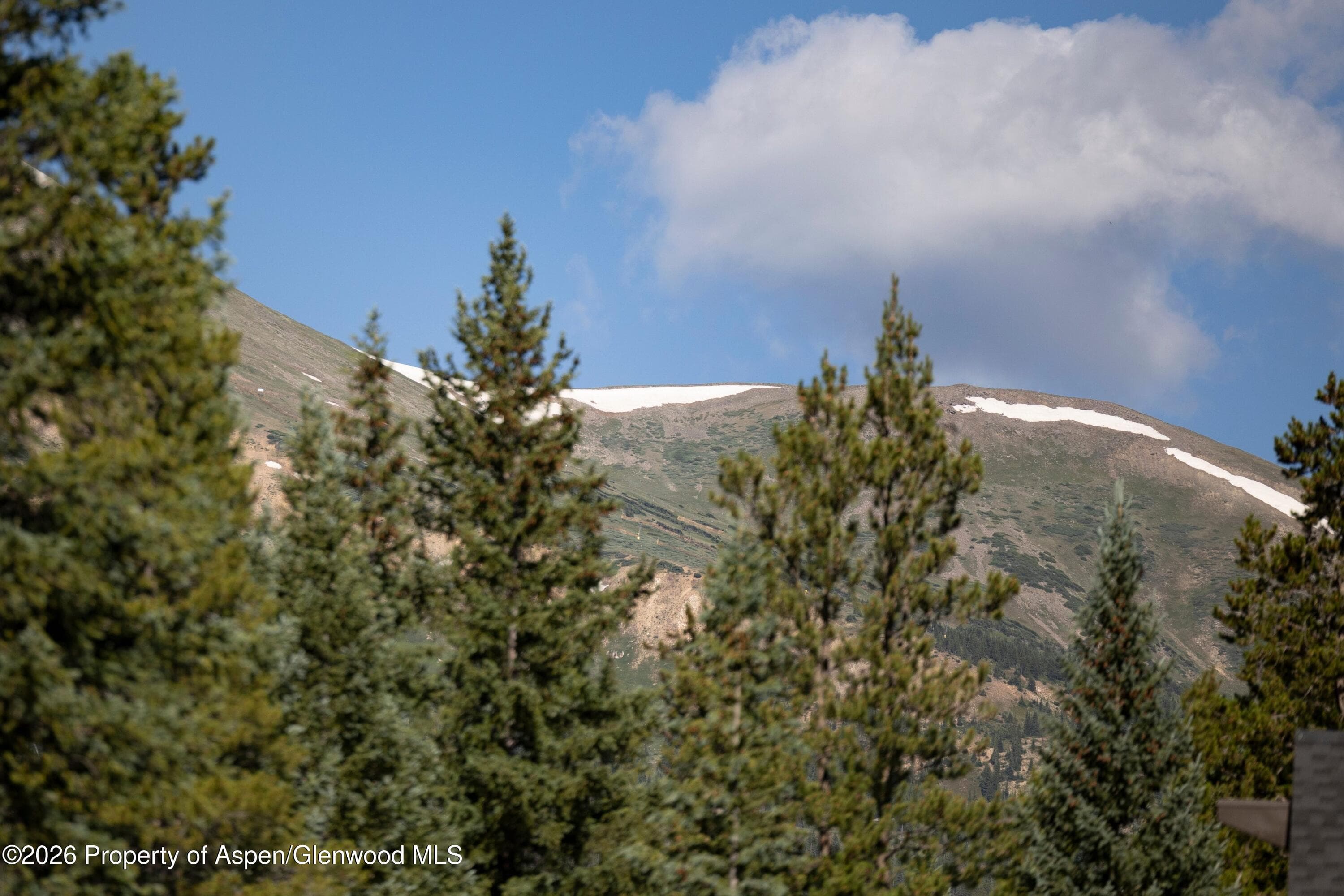 273 River Park Drive, Breckenridge, CO 80424 - Photo 41