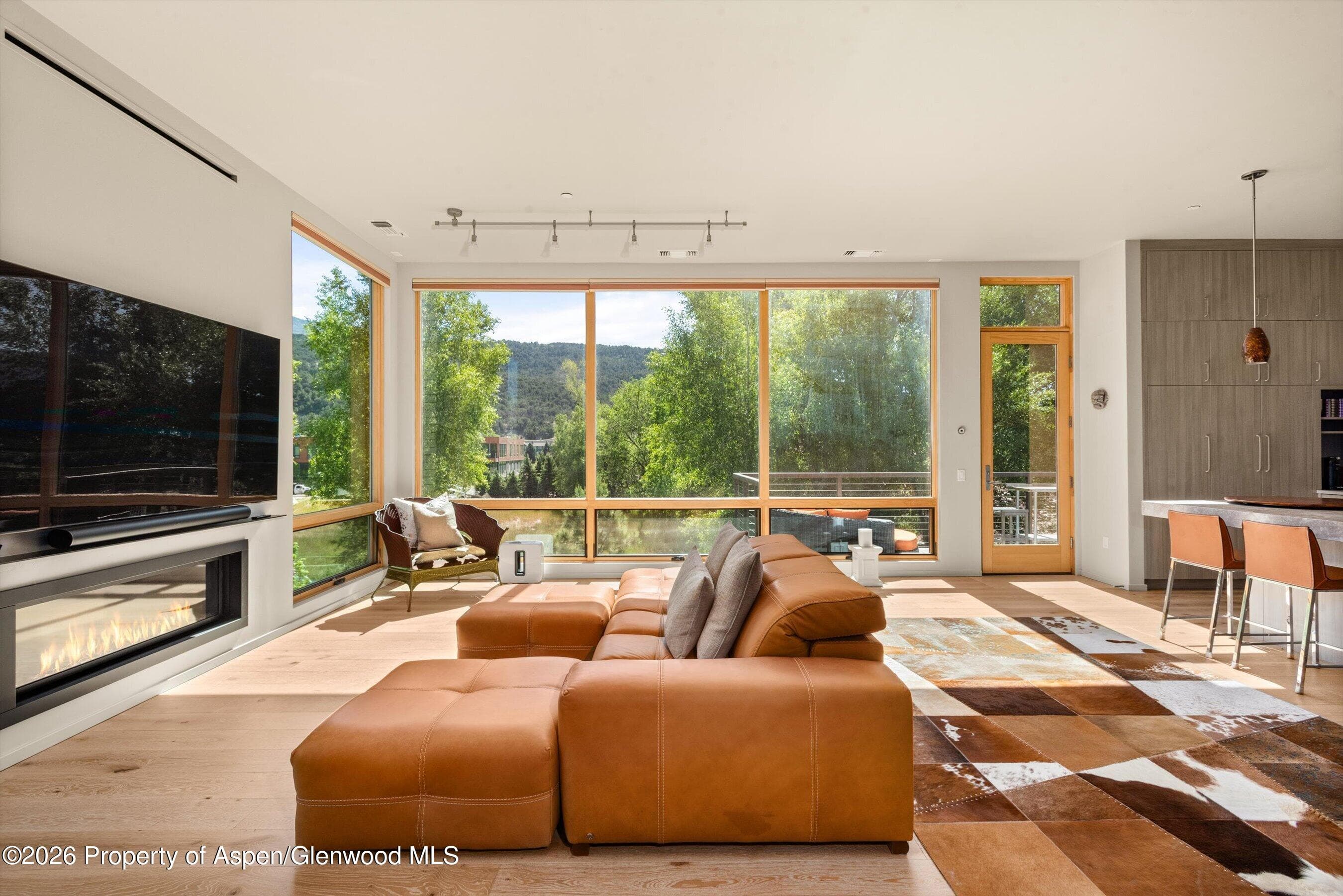 103 Willits Way 201, Basalt, CO 81621 - Photo 3