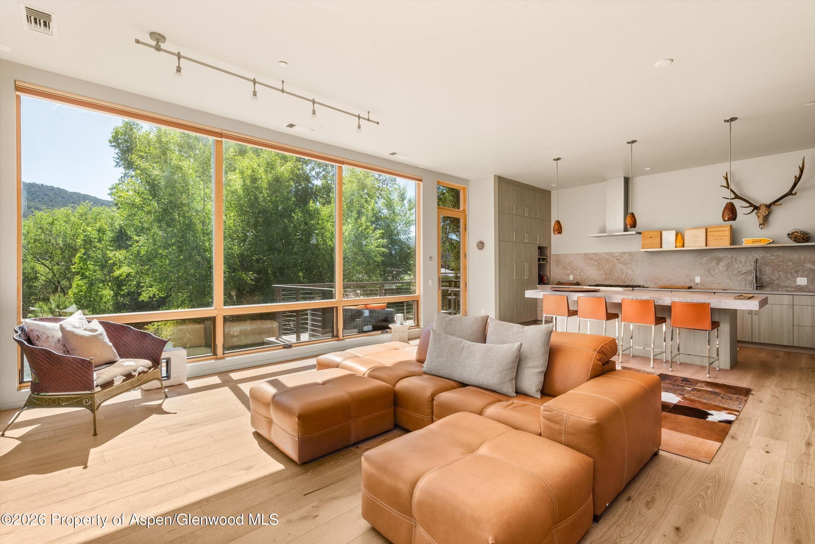 103 Willits Way 201, Basalt, CO 81621 - Photo 6