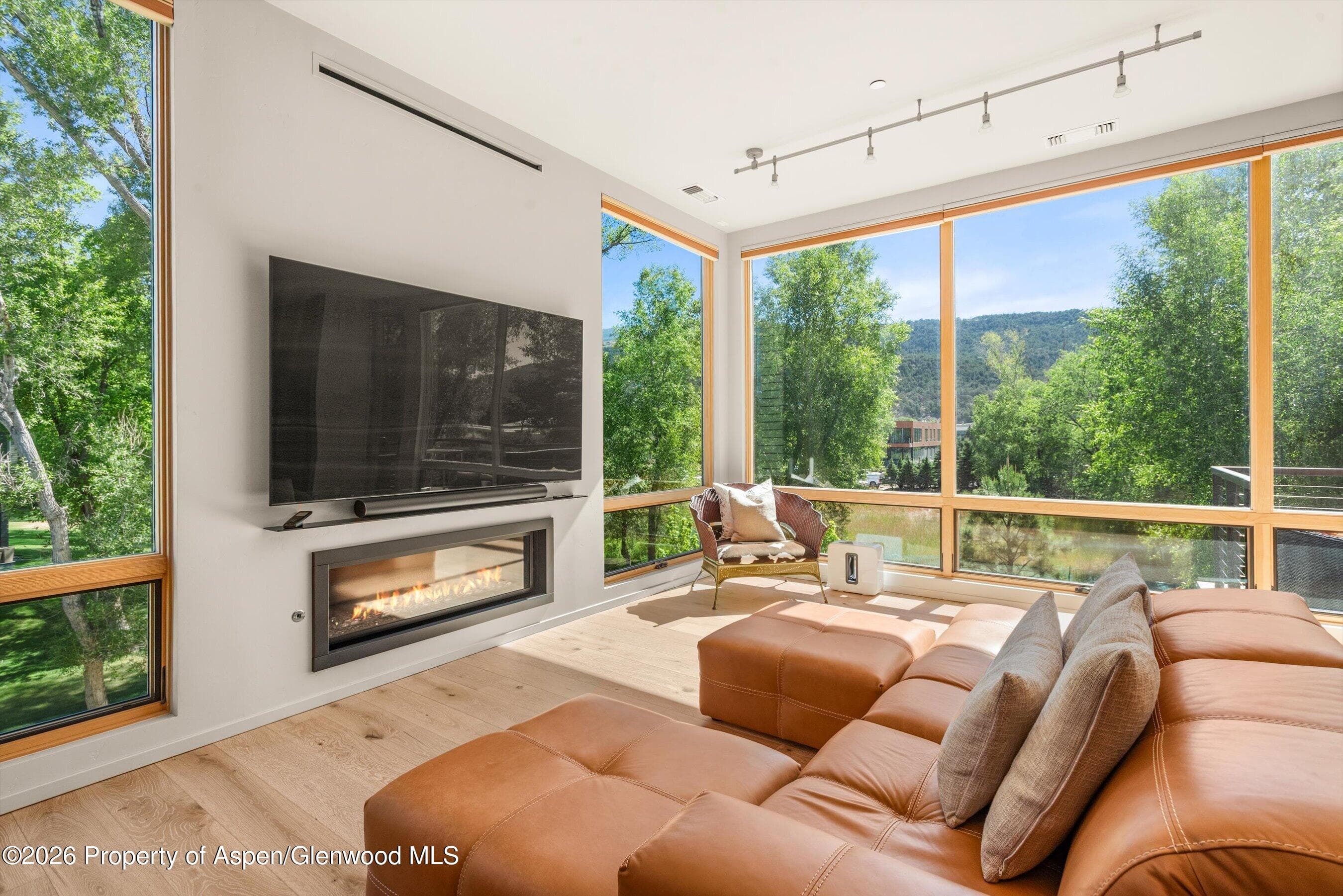 103 Willits Way 201, Basalt, CO 81621 - Photo 7