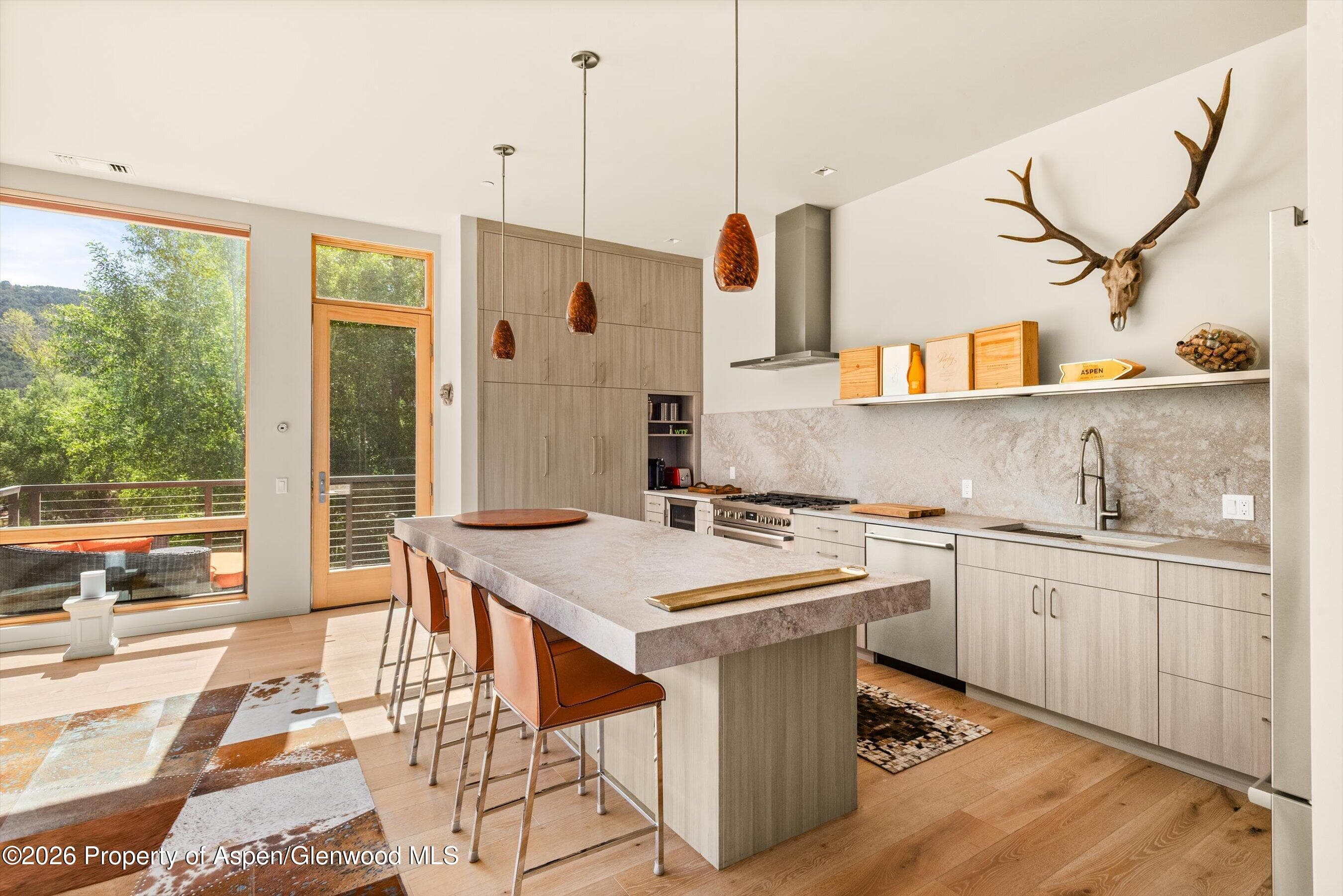 103 Willits Way 201, Basalt, CO 81621 - Photo 9