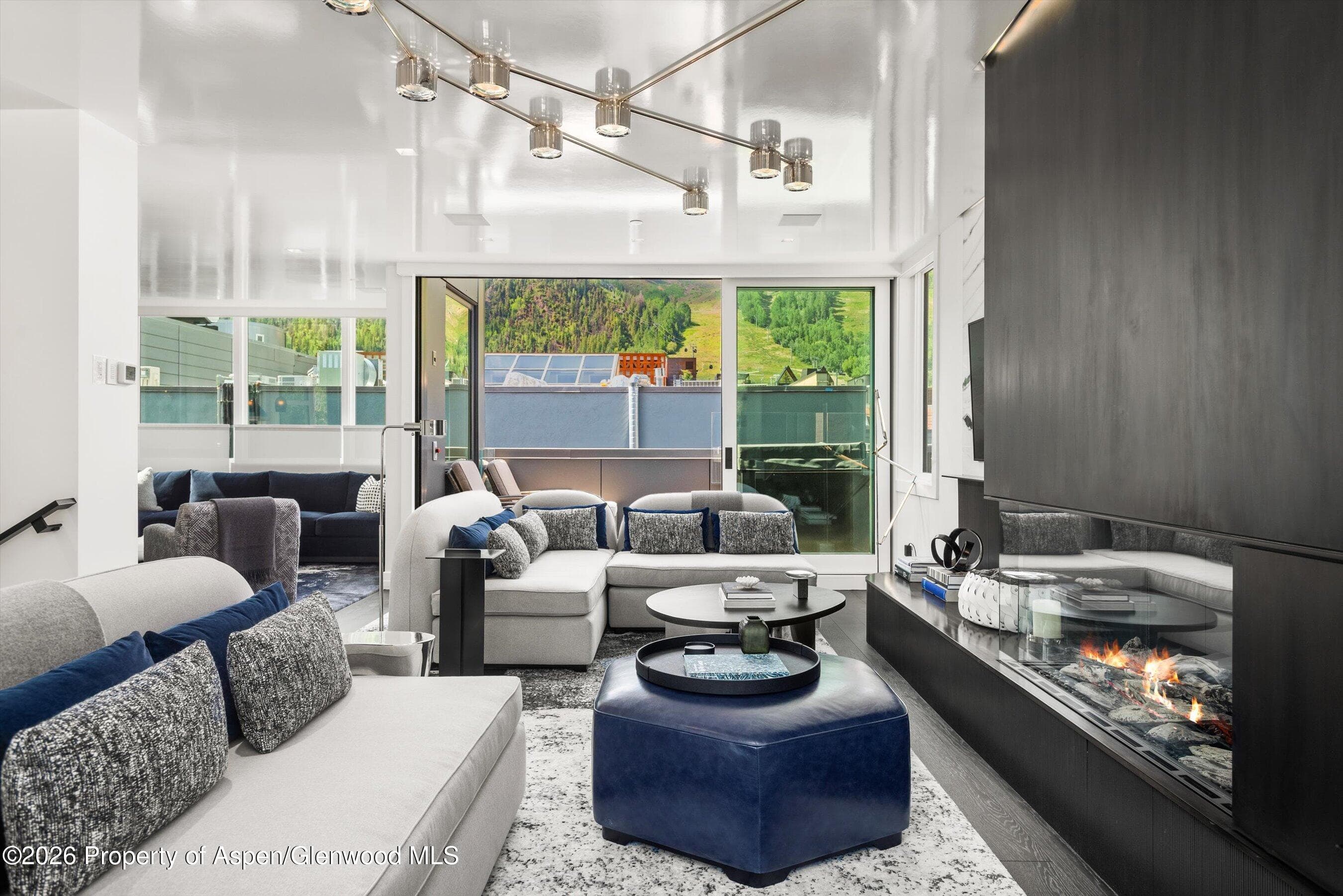 627 E Hopkins Avenue 201, Aspen, CO 81611 - Photo 2
