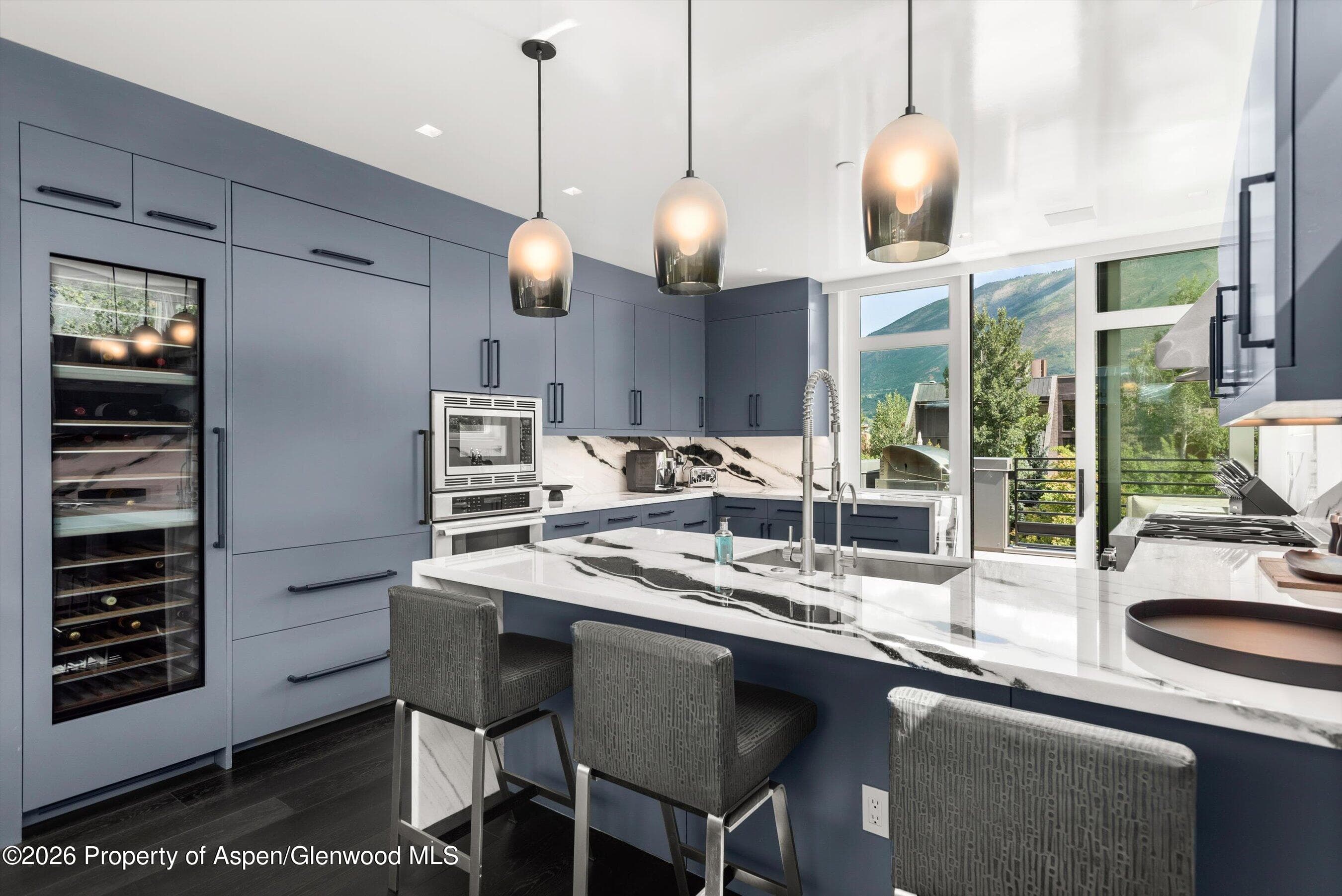 627 E Hopkins Avenue 201, Aspen, CO 81611 - Photo 10