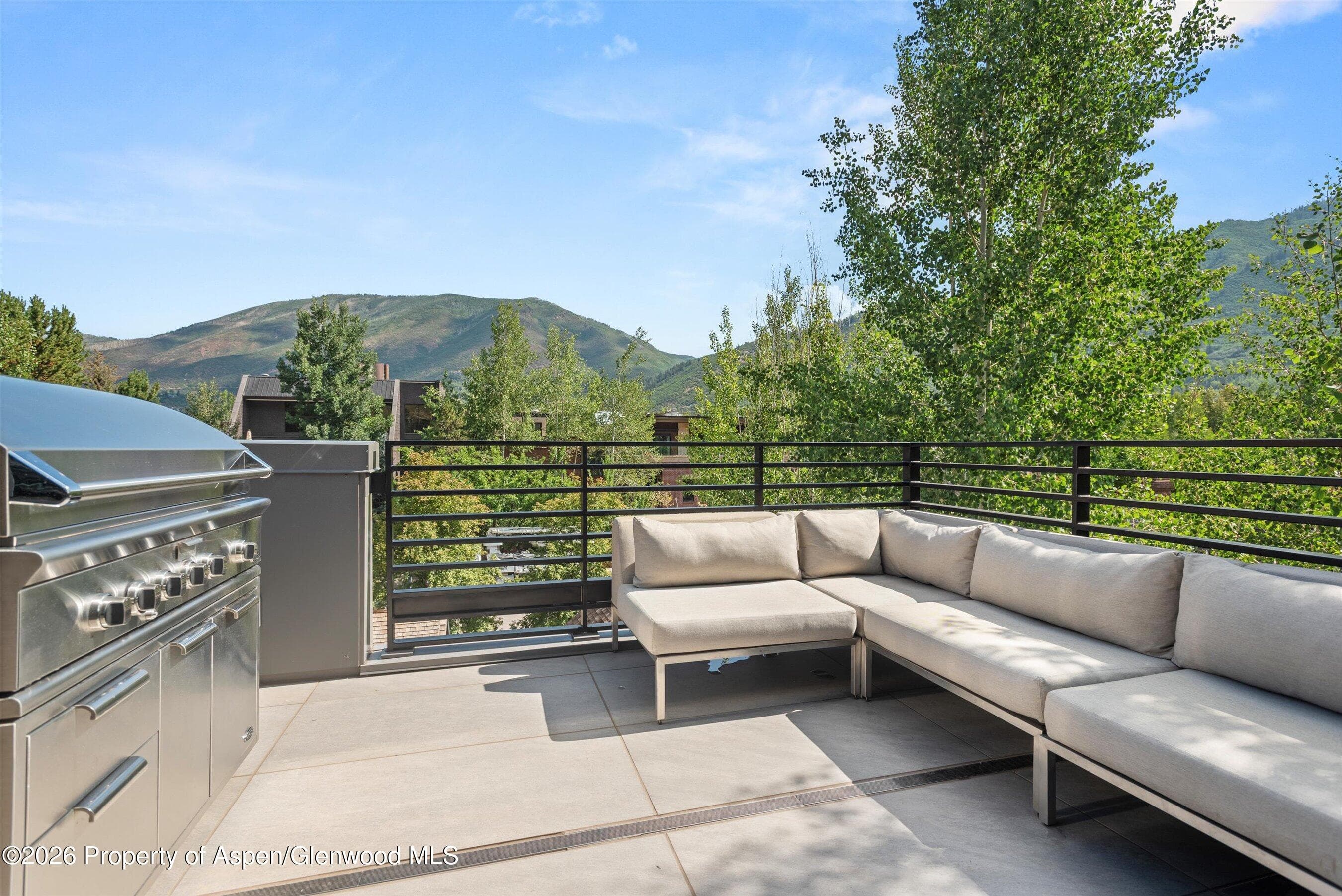 627 E Hopkins Avenue 201, Aspen, CO 81611 - Photo 46