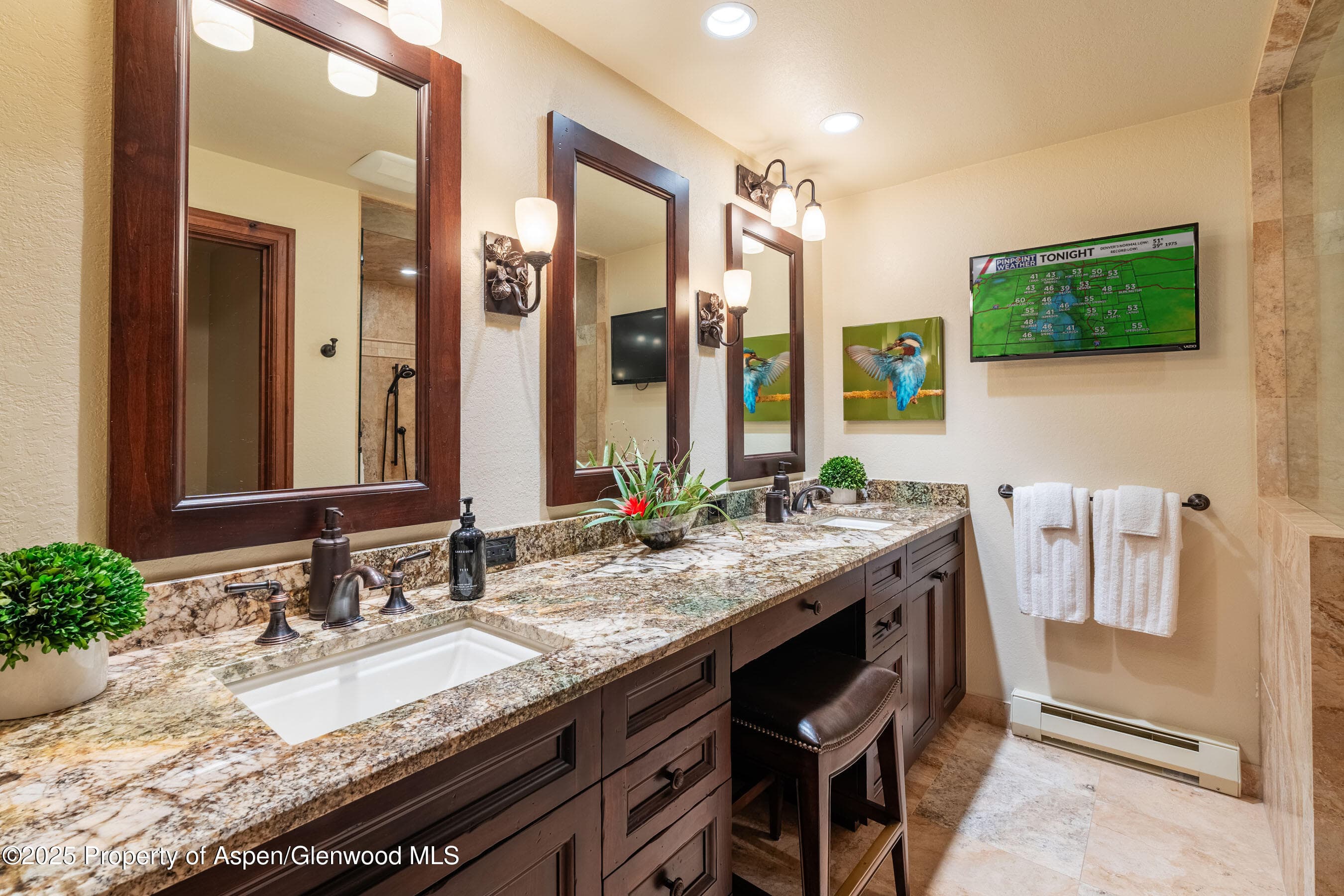 229 Faraway Road 28, Snowmass Village, CO 81615 - Photo 10