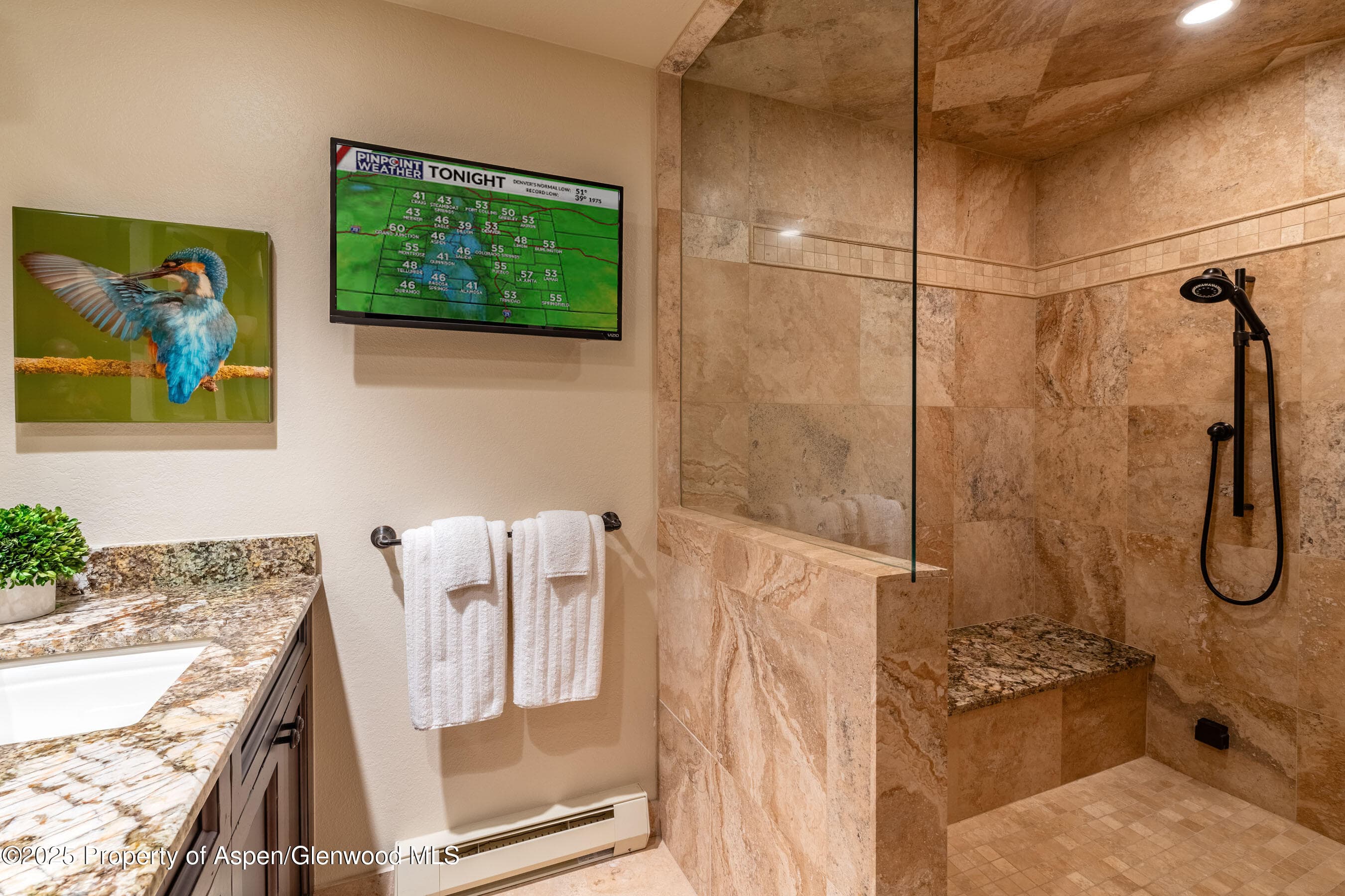 229 Faraway Road 28, Snowmass Village, CO 81615 - Photo 11