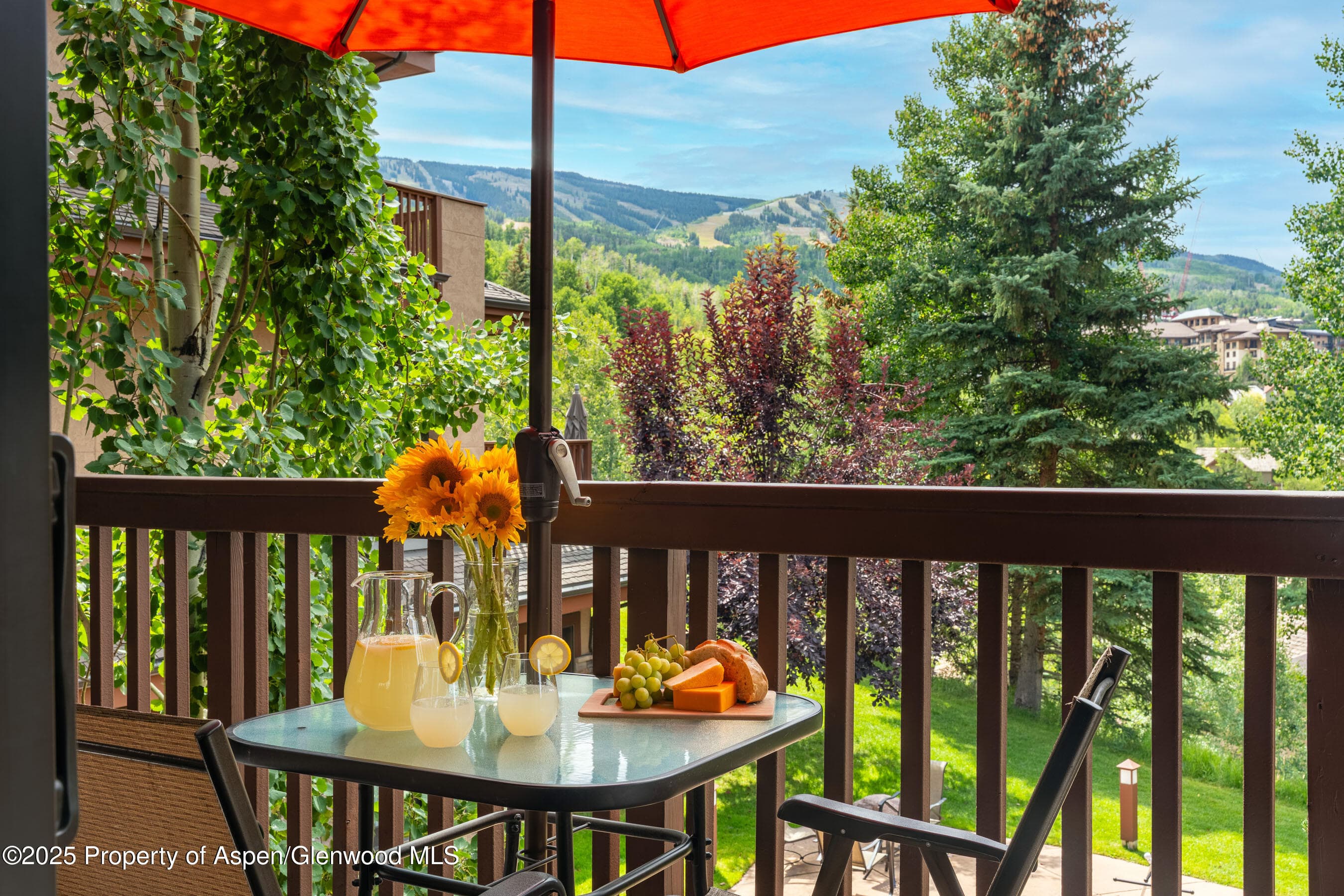 229 Faraway Road 28, Snowmass Village, CO 81615 - Photo 16