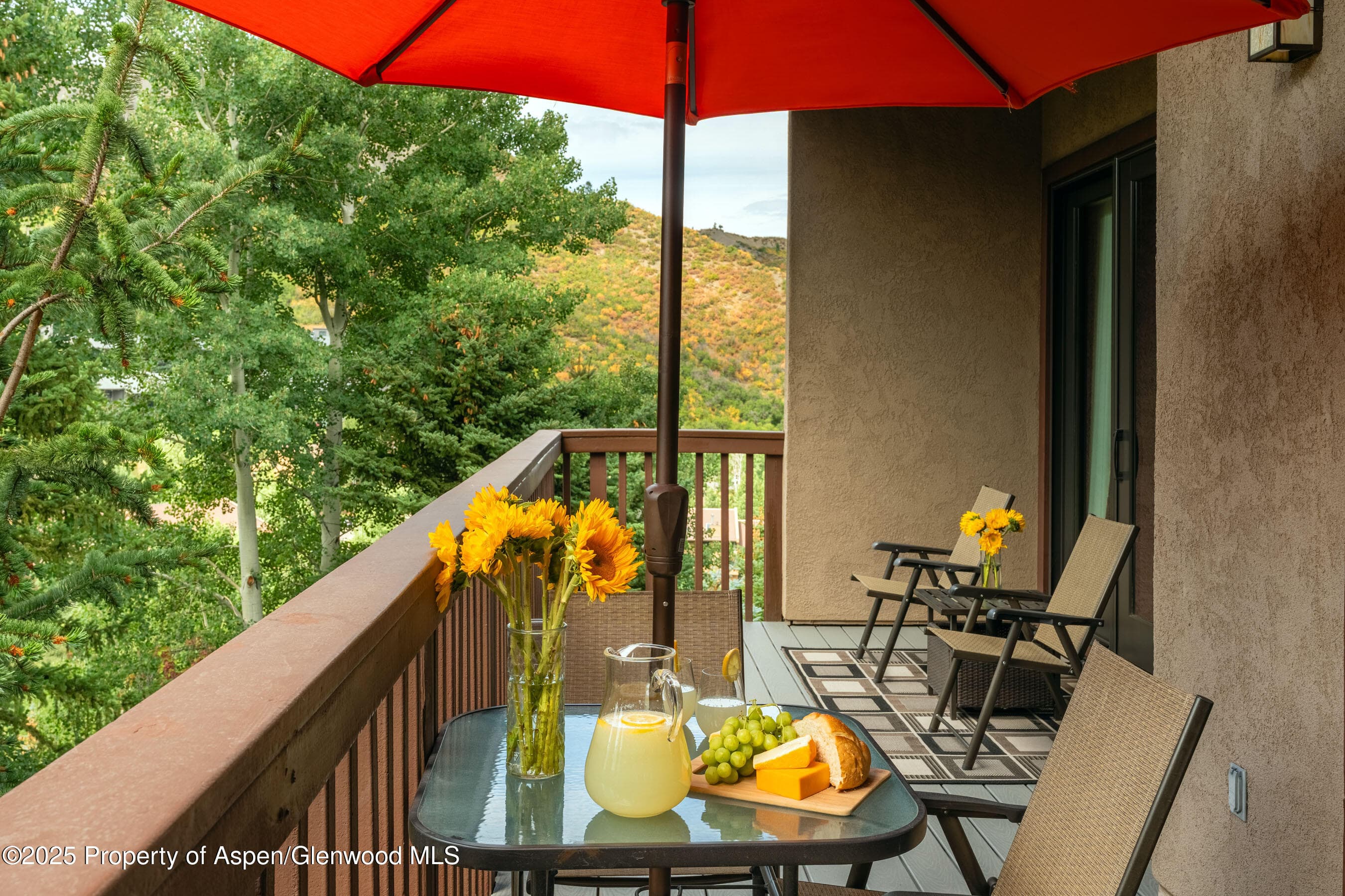 229 Faraway Road 28, Snowmass Village, CO 81615 - Photo 17