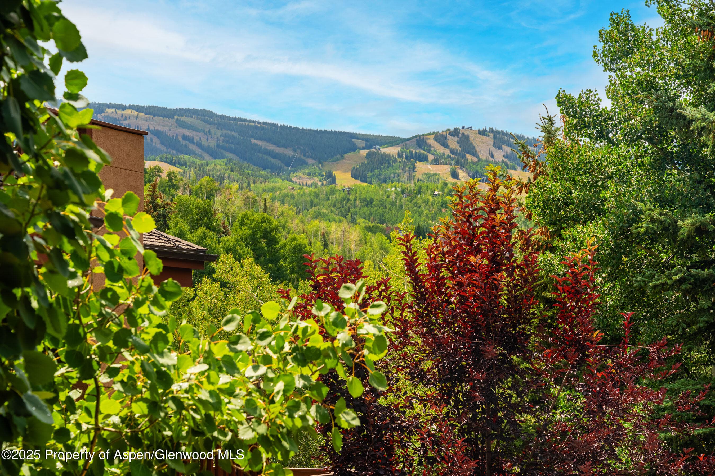 229 Faraway Road 28, Snowmass Village, CO 81615 - Photo 19